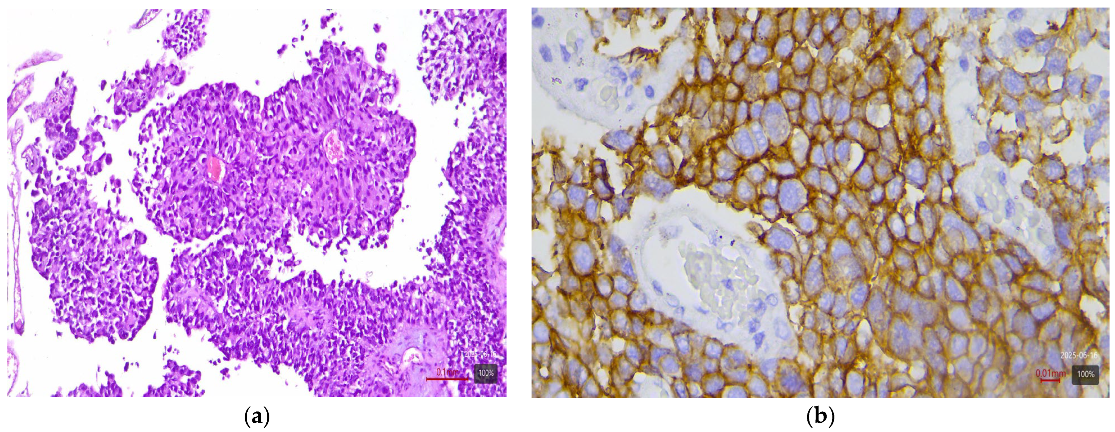 Medicina 61 01759 g001