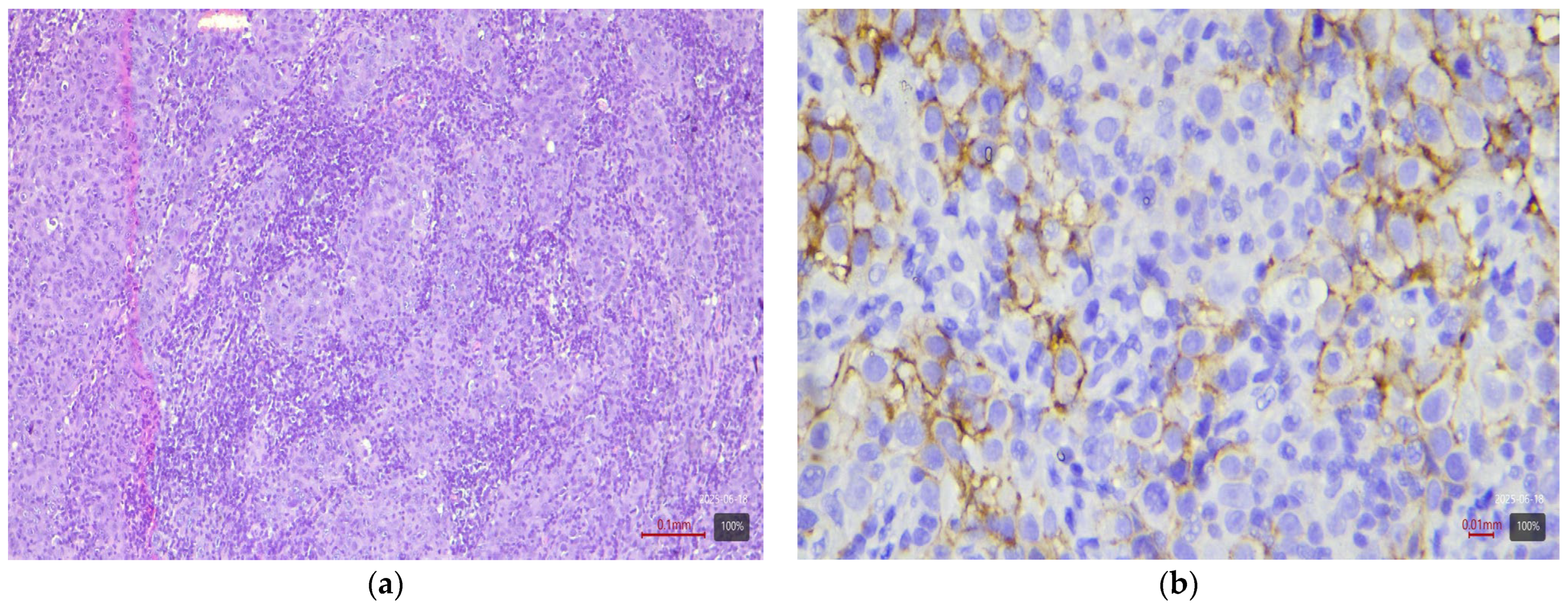 Medicina 61 01759 g007