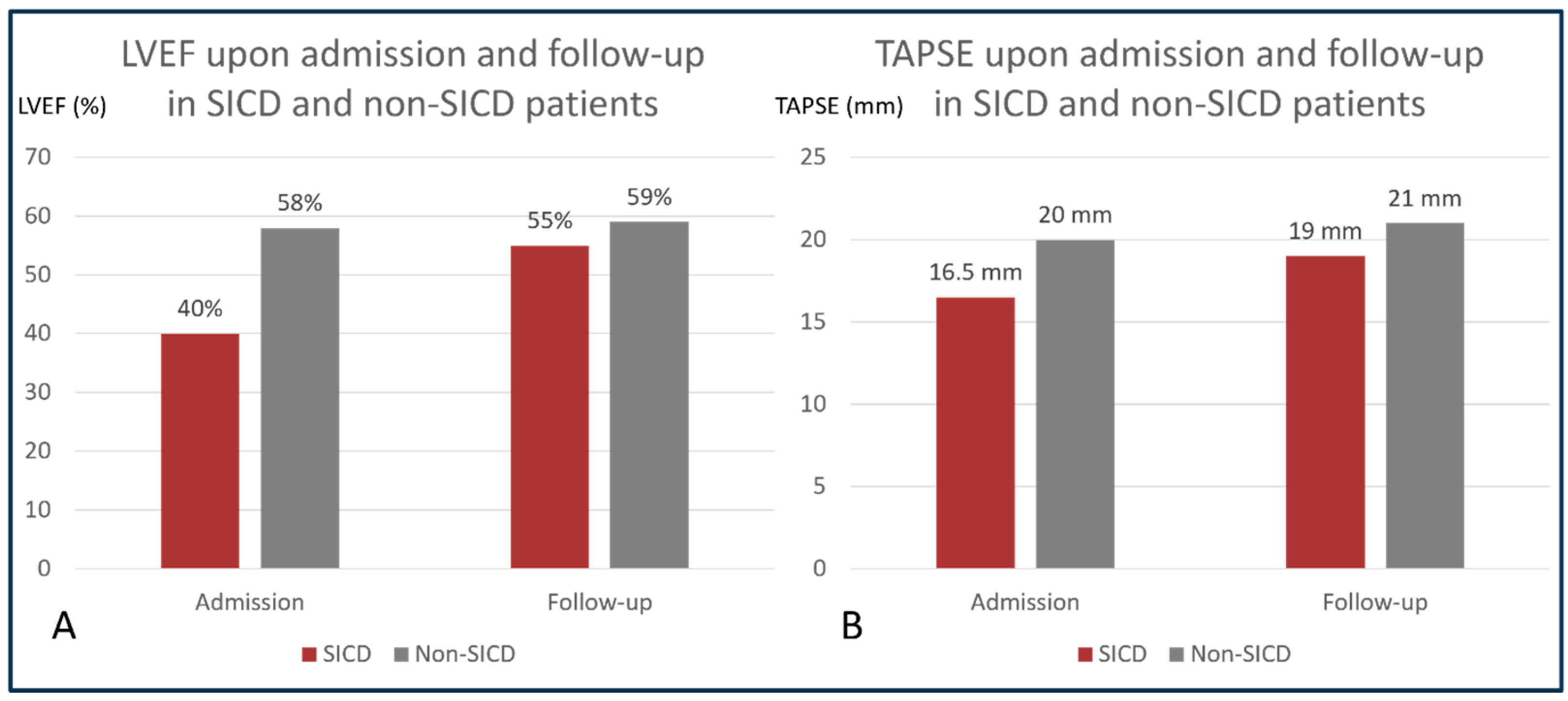 Medicina 61 01765 g001 Medicina 61 01765 g001