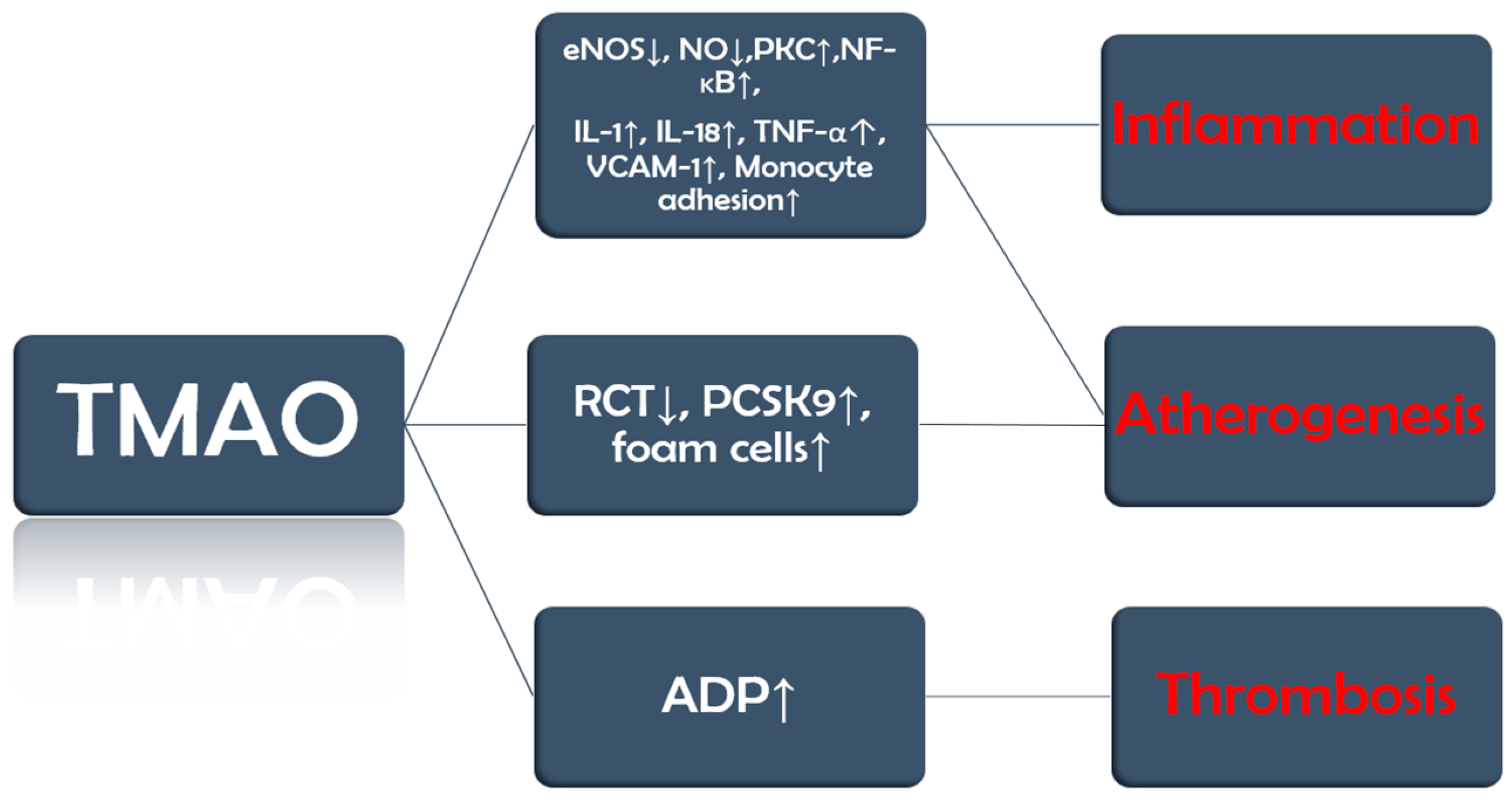 Medicina 61 01767 g002