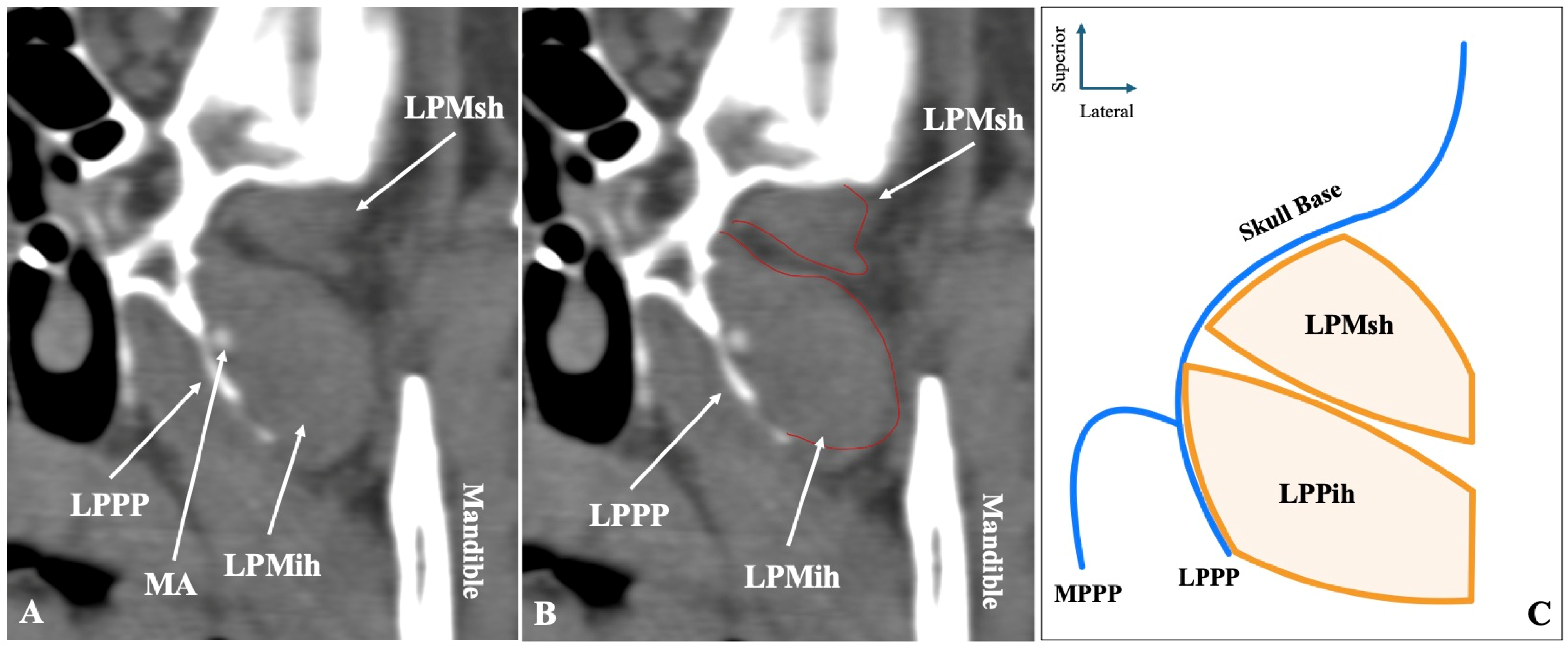 Medicina 61 01780 g001 Medicina 61 01780 g001