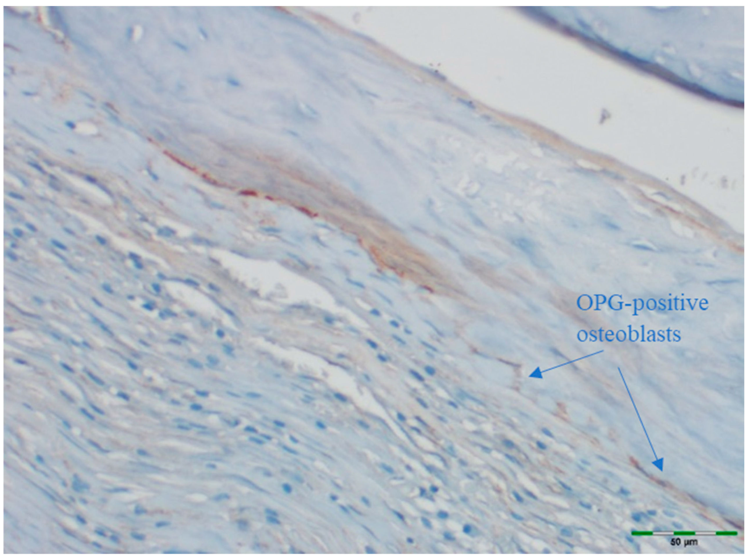 Medicina 61 01795 g013