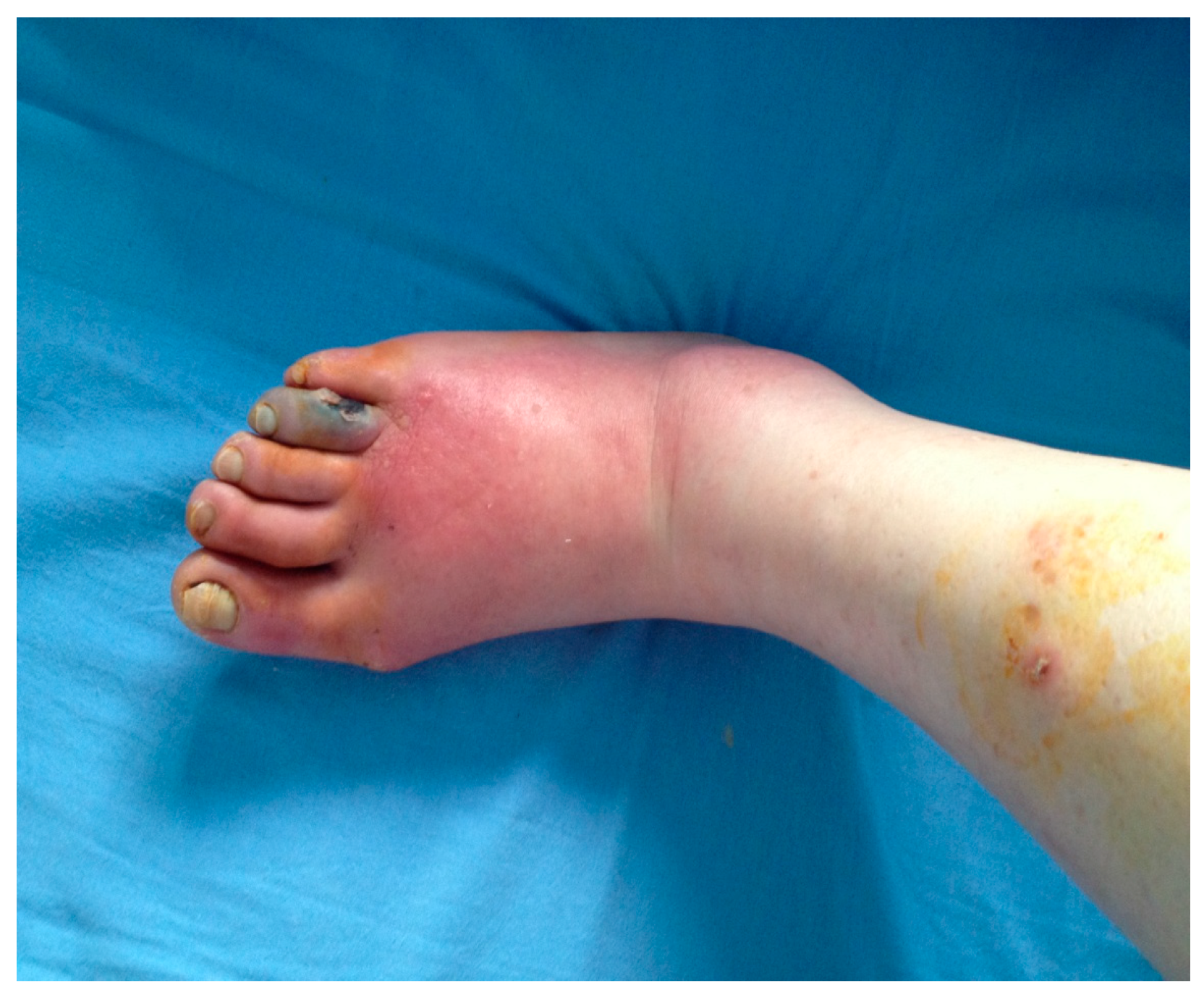 Medicina 61 01817 g001