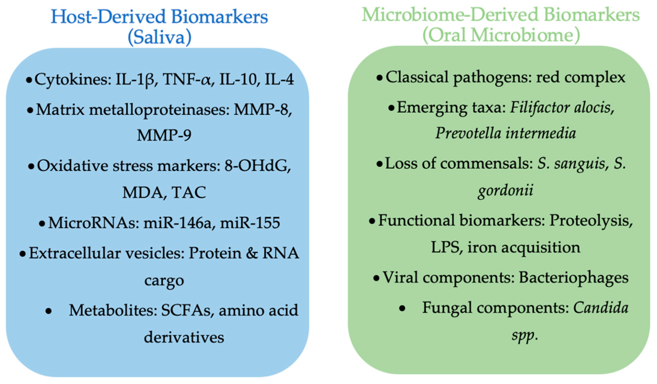 Medicina 61 01818 g001 Medicina 61 01818 g001