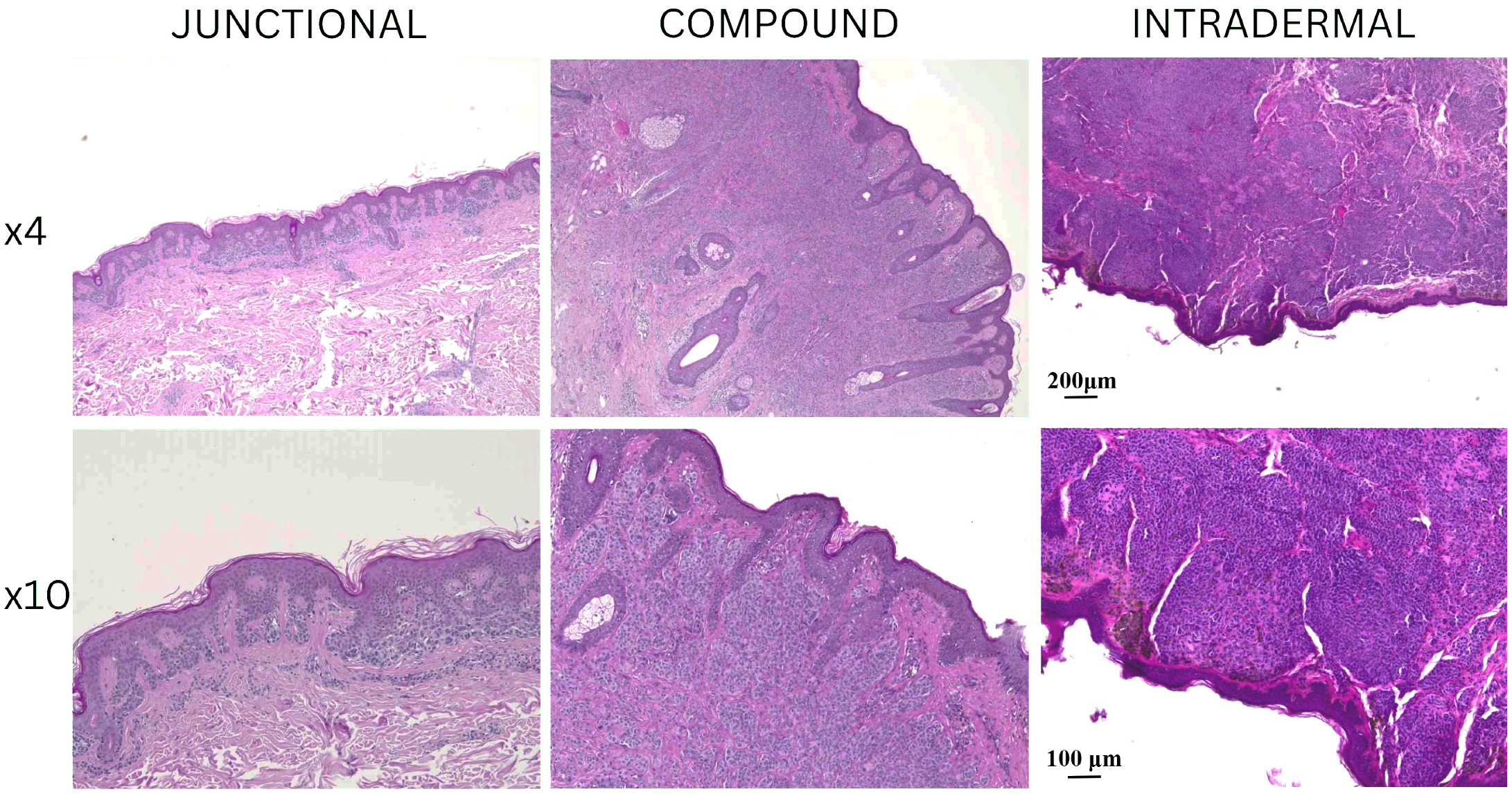 Medicina 61 01828 g001