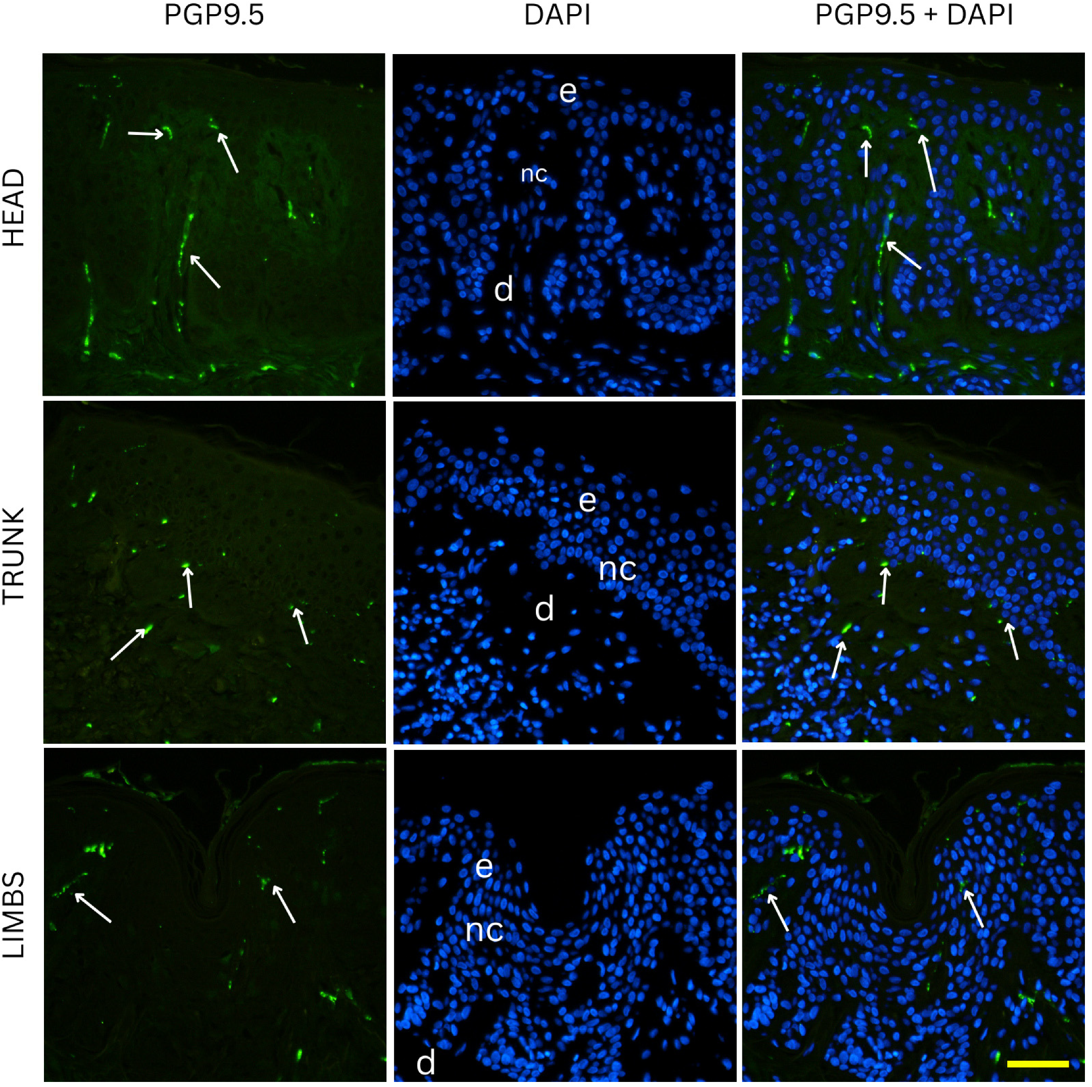Medicina 61 01828 g002