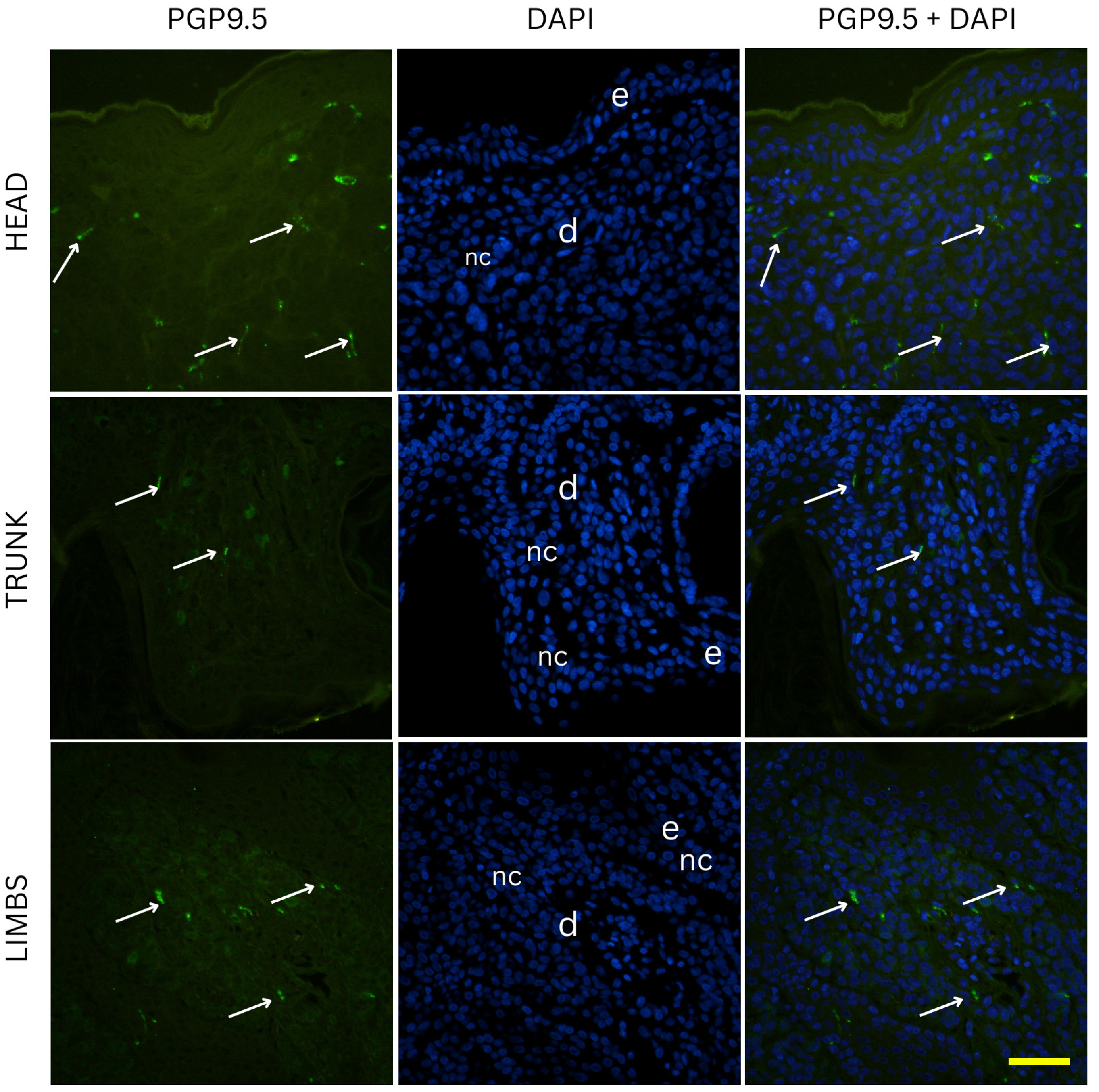 Medicina 61 01828 g003