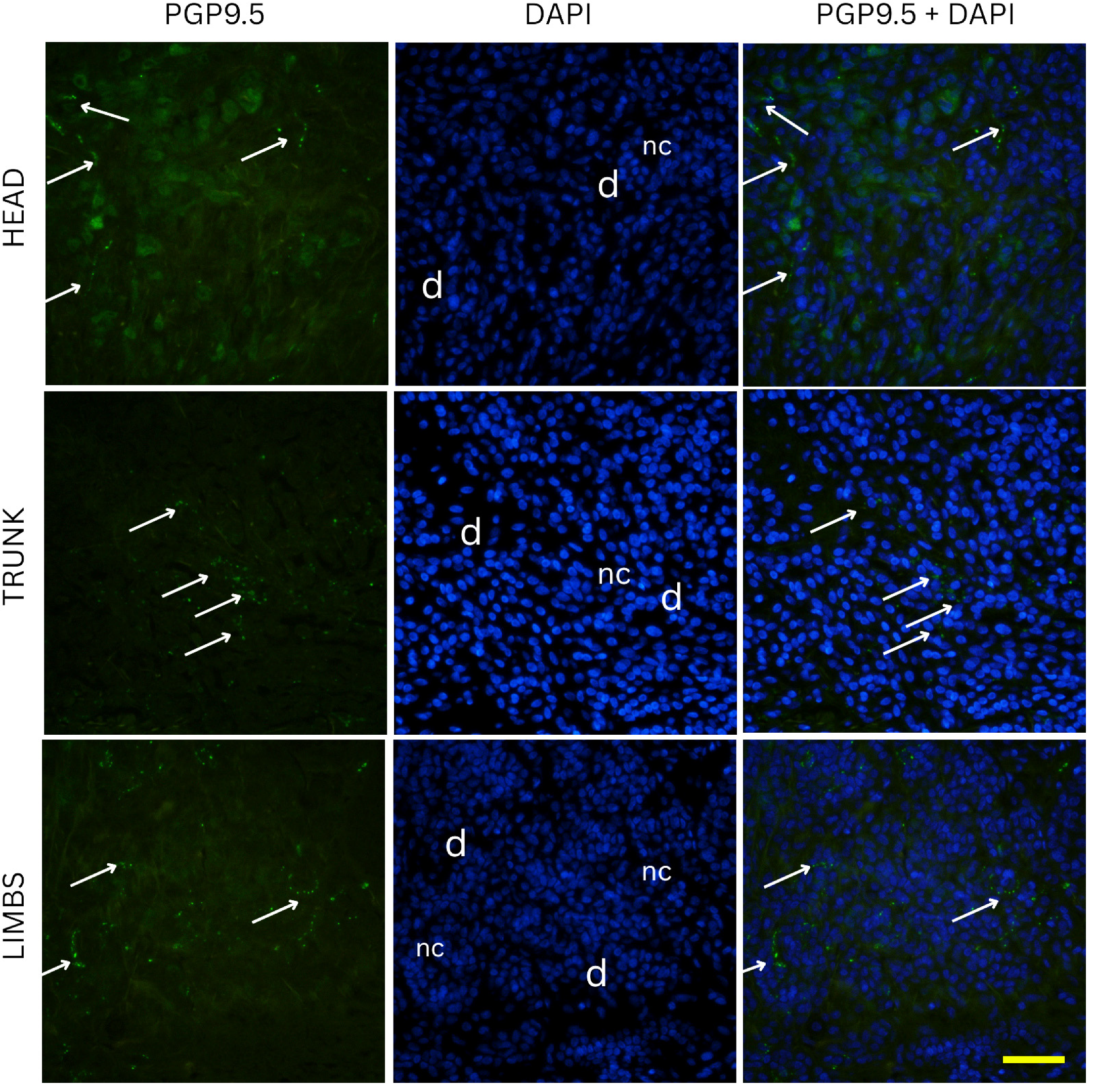 Medicina 61 01828 g004