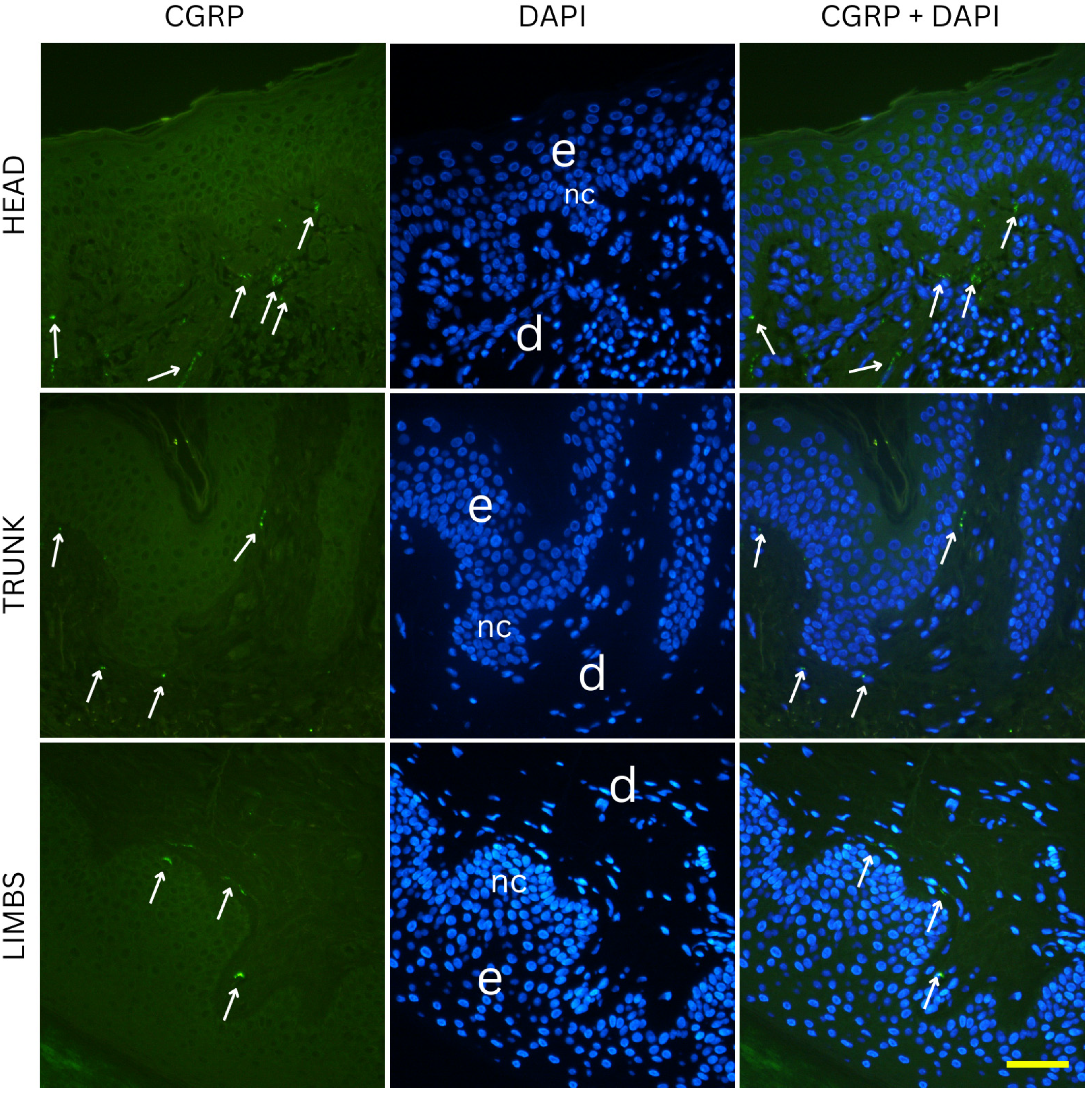 Medicina 61 01828 g006