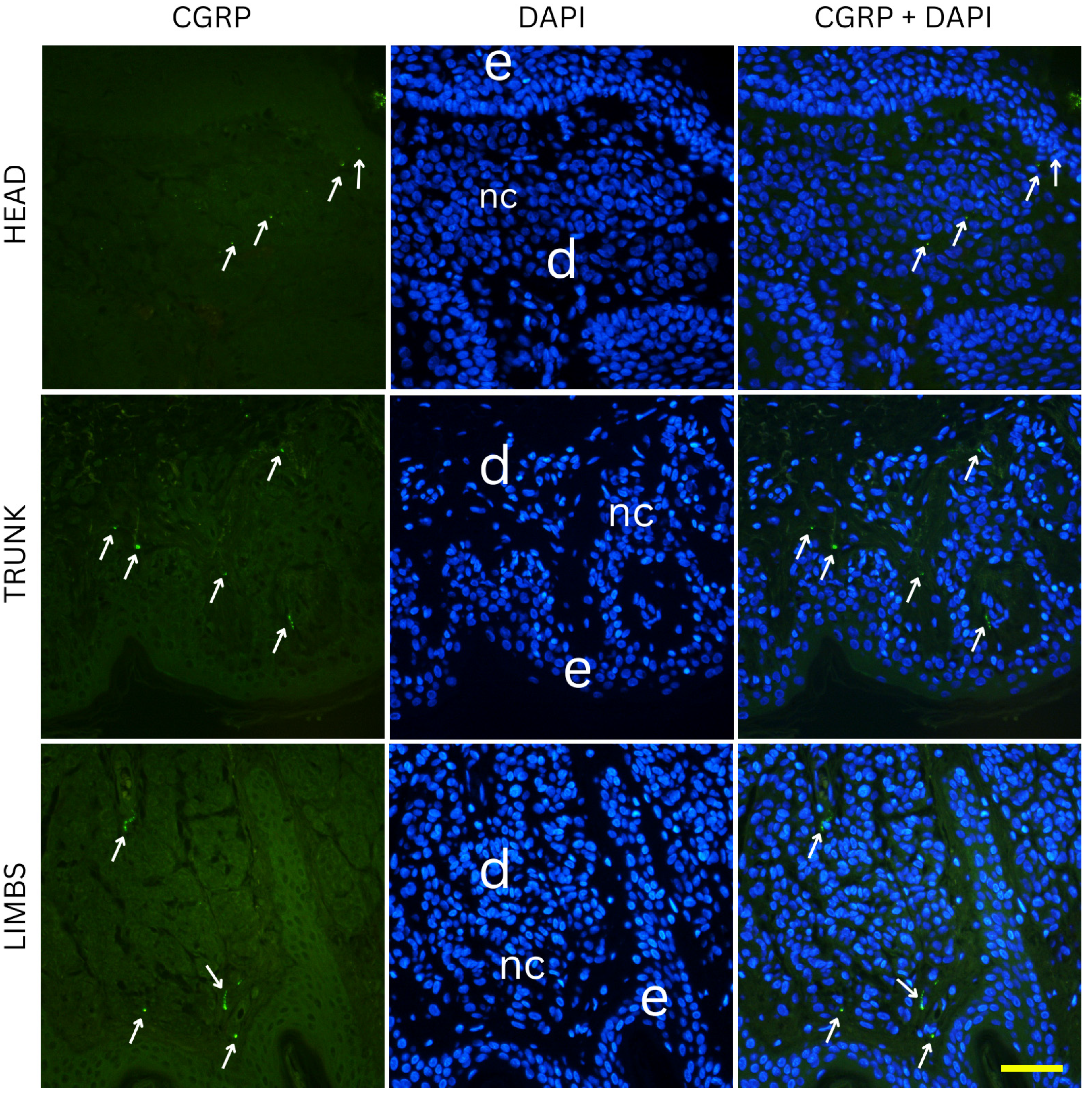 Medicina 61 01828 g007