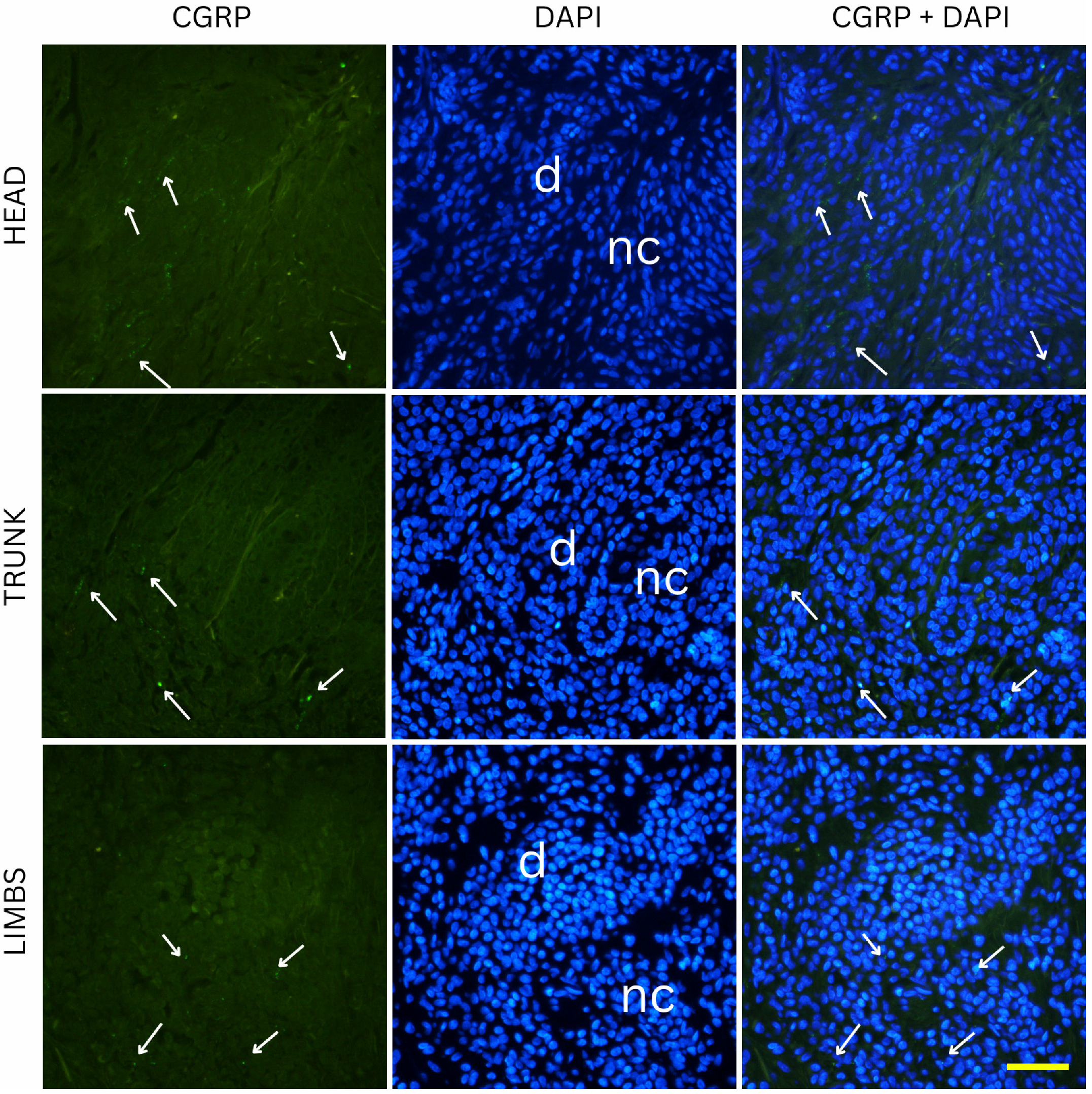 Medicina 61 01828 g008