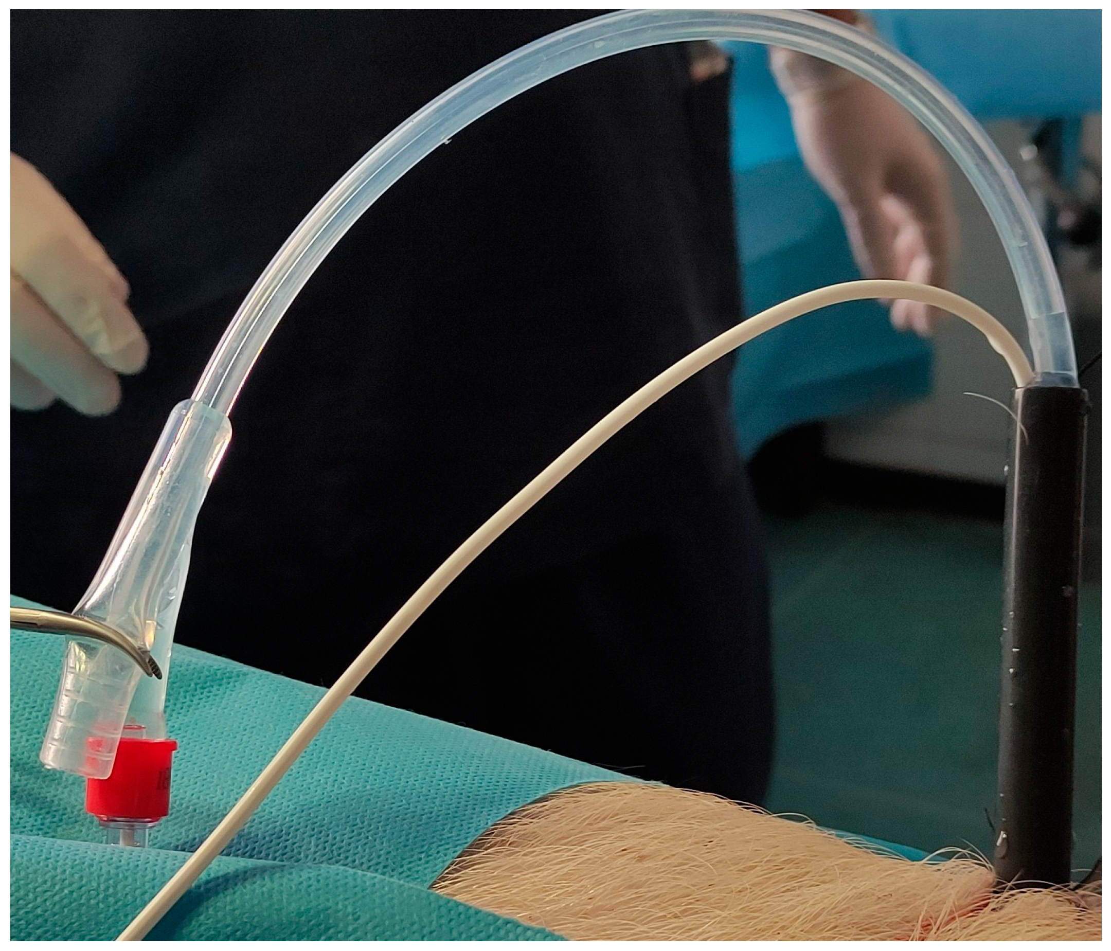 Medicina 61 01829 g002