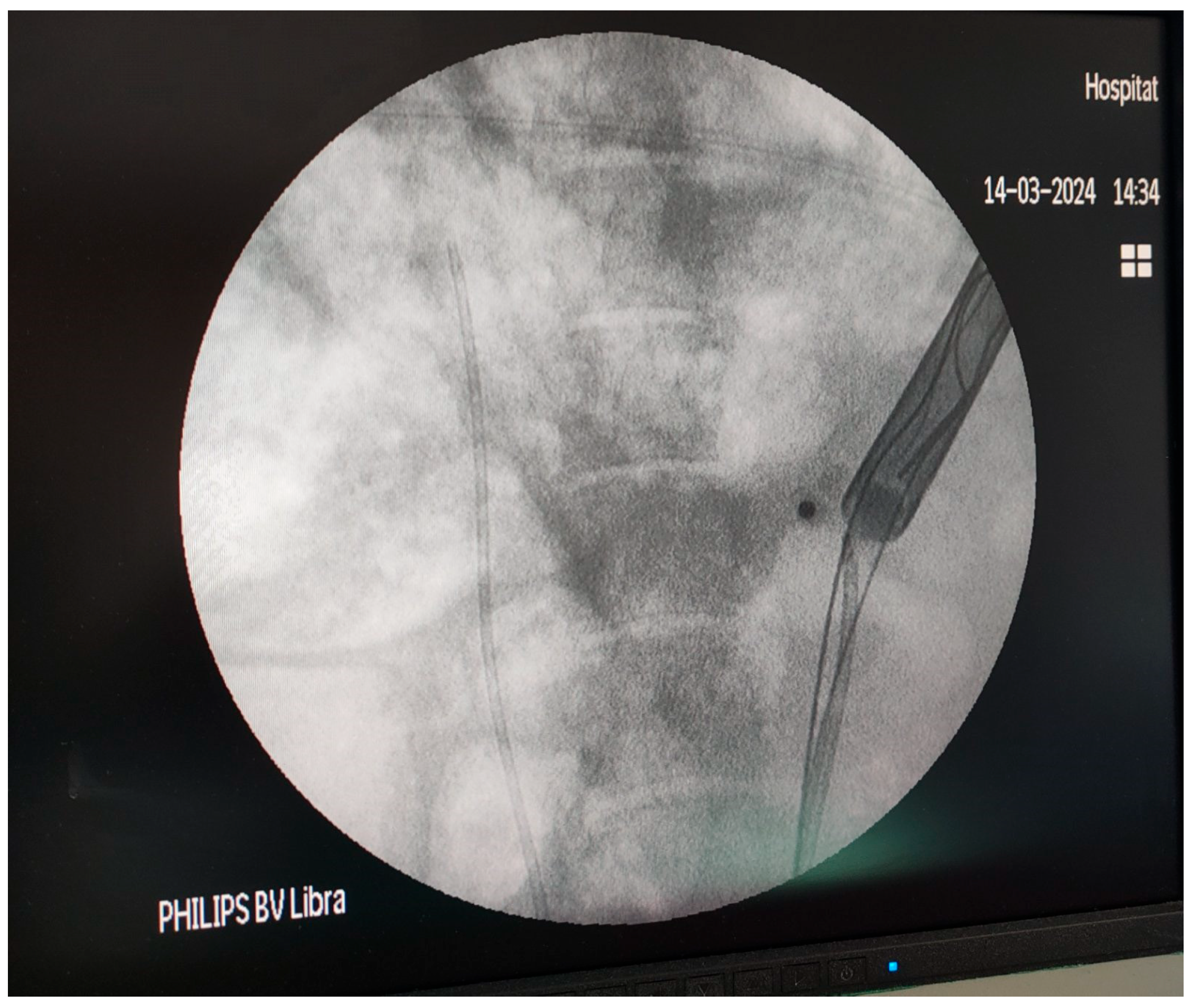 Medicina 61 01829 g003