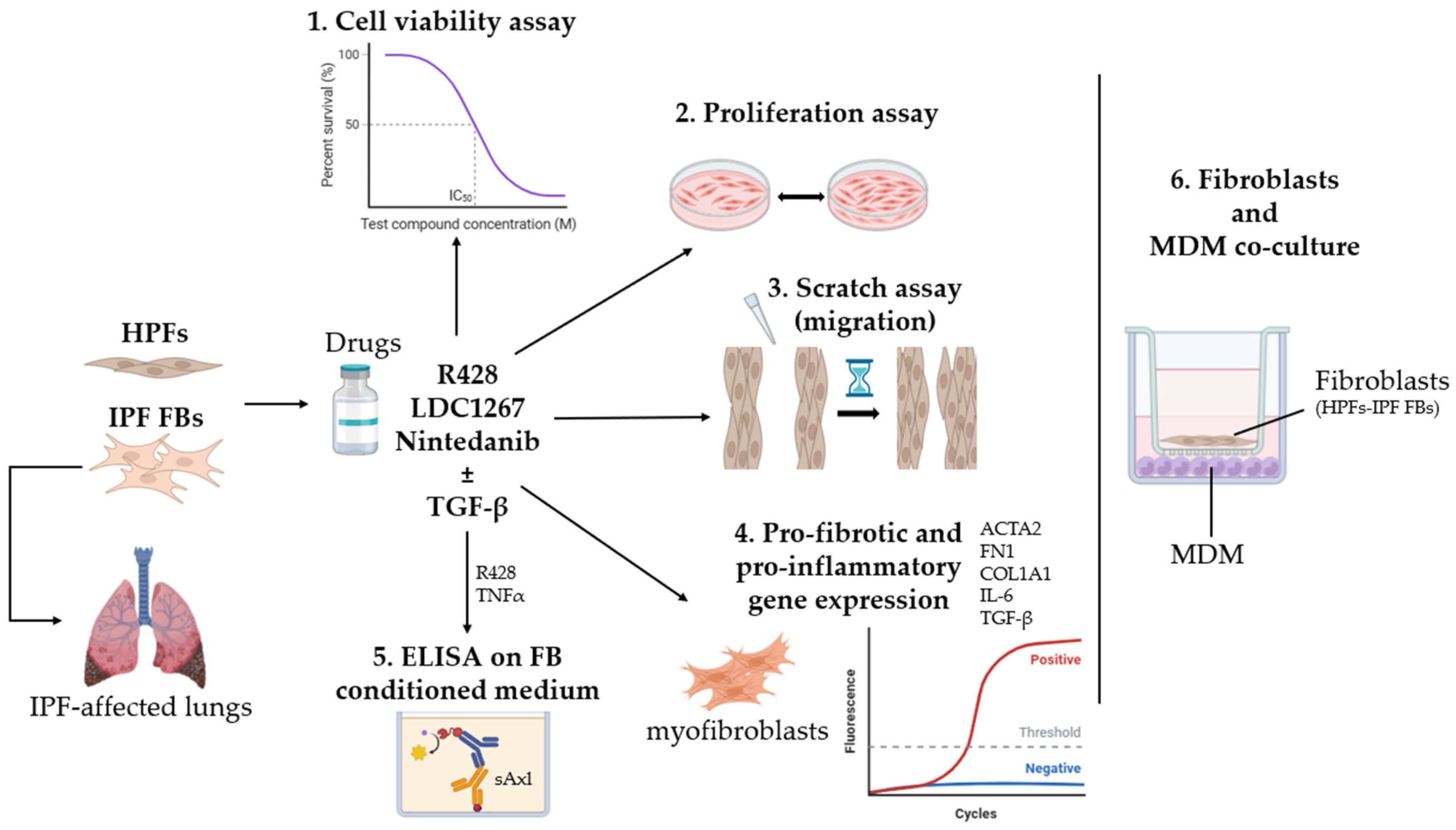 Medicina 61 01837 g001