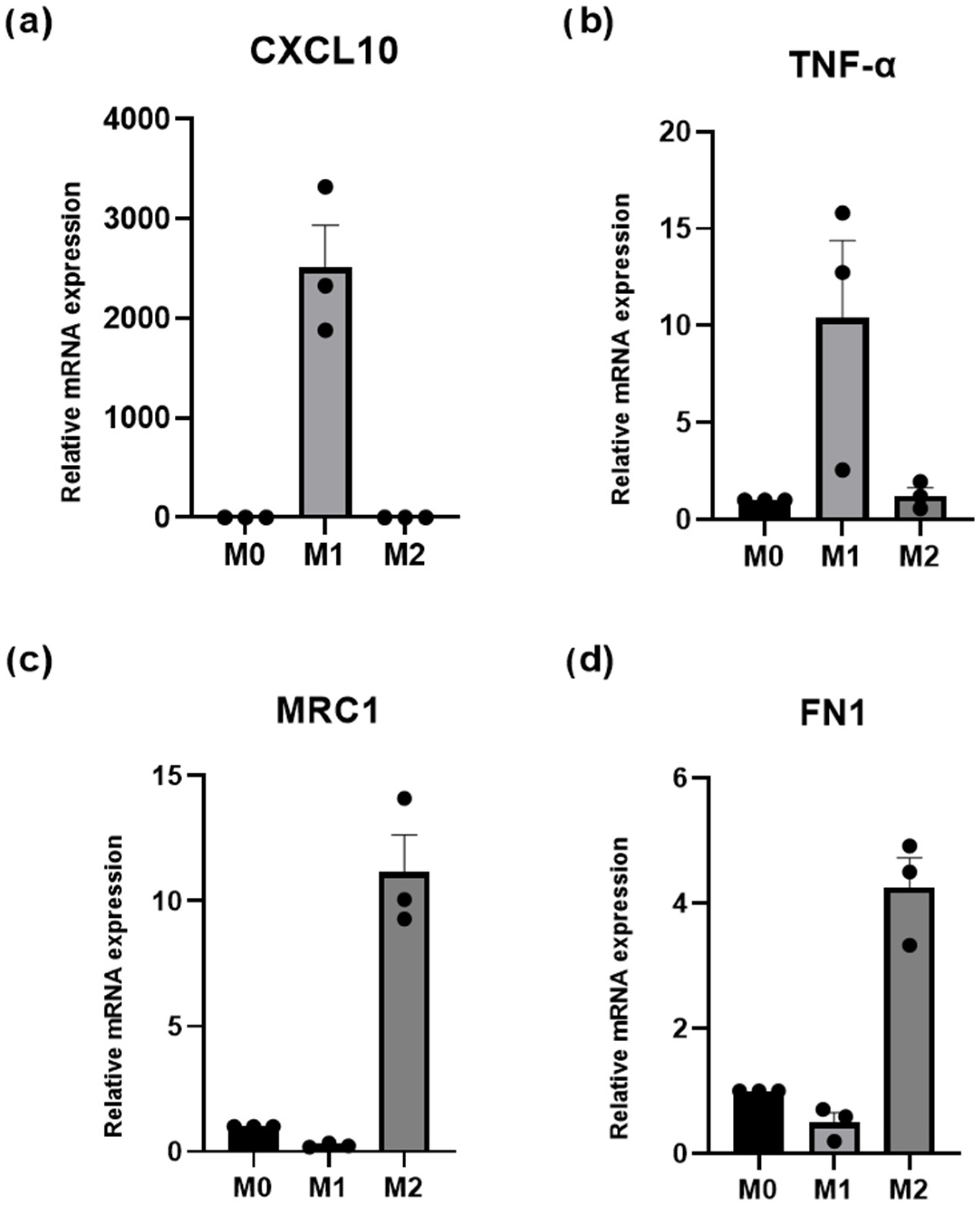 Medicina 61 01837 g0a3