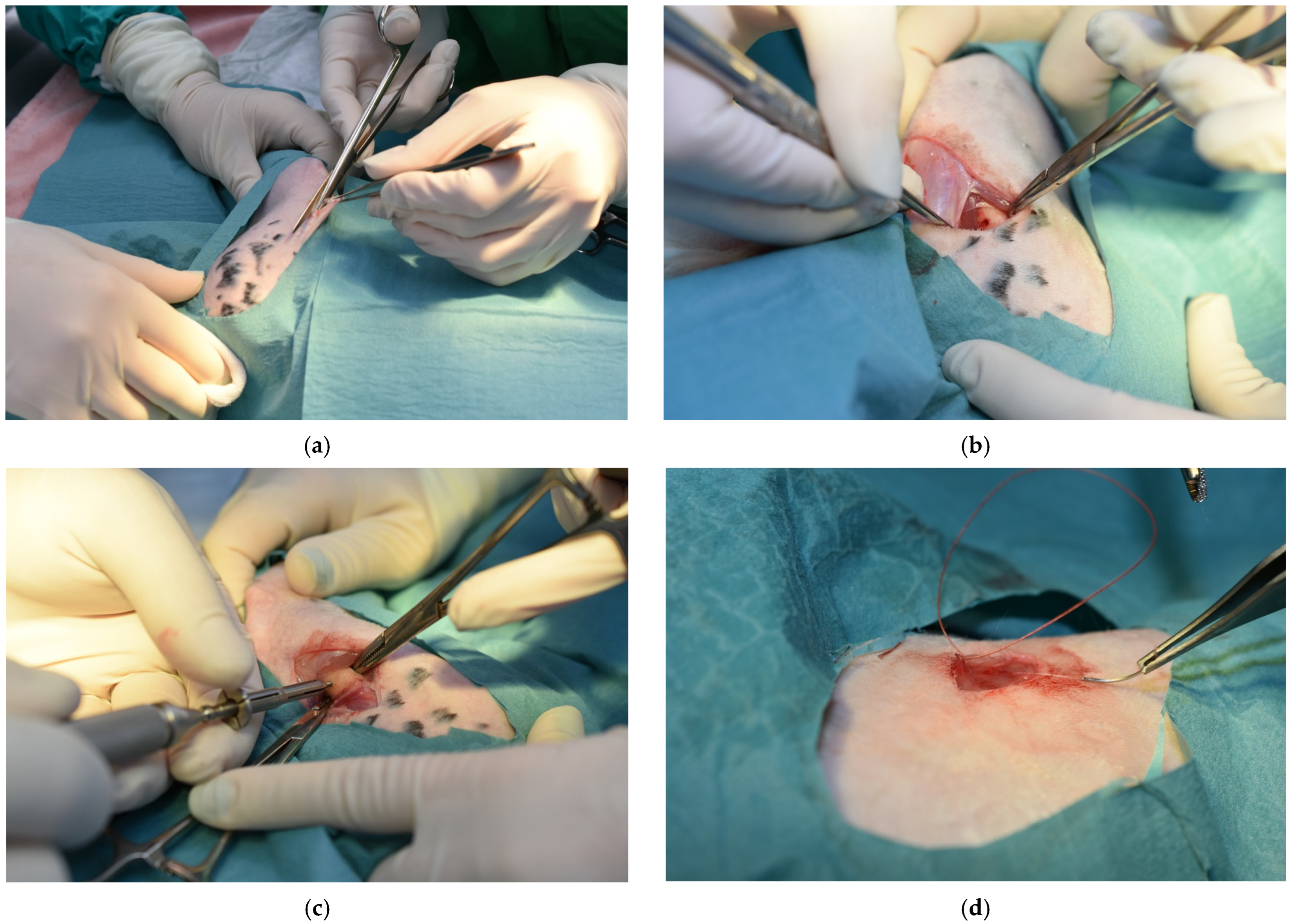 Medicina 61 01841 g001