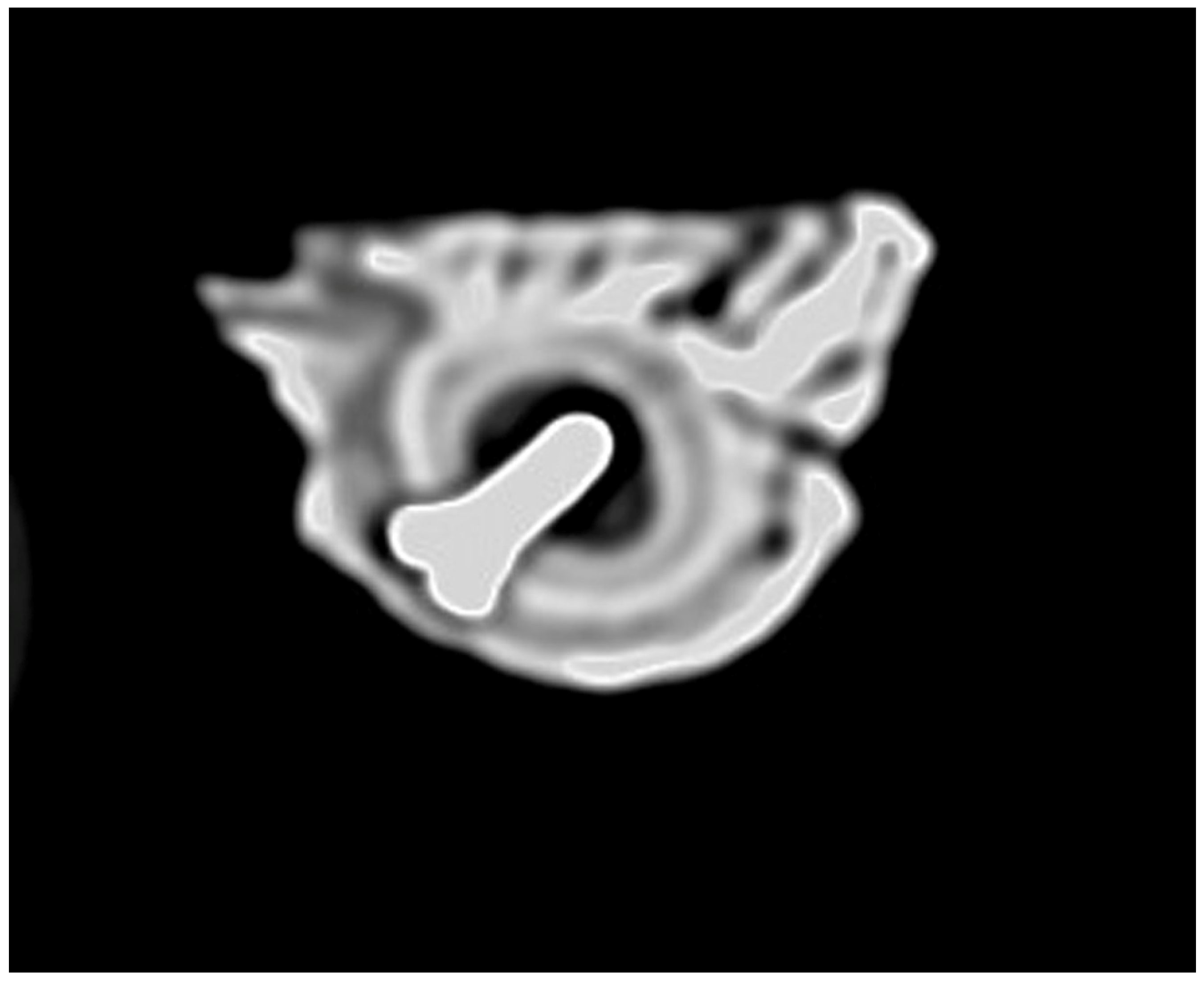 Medicina 61 01841 g002