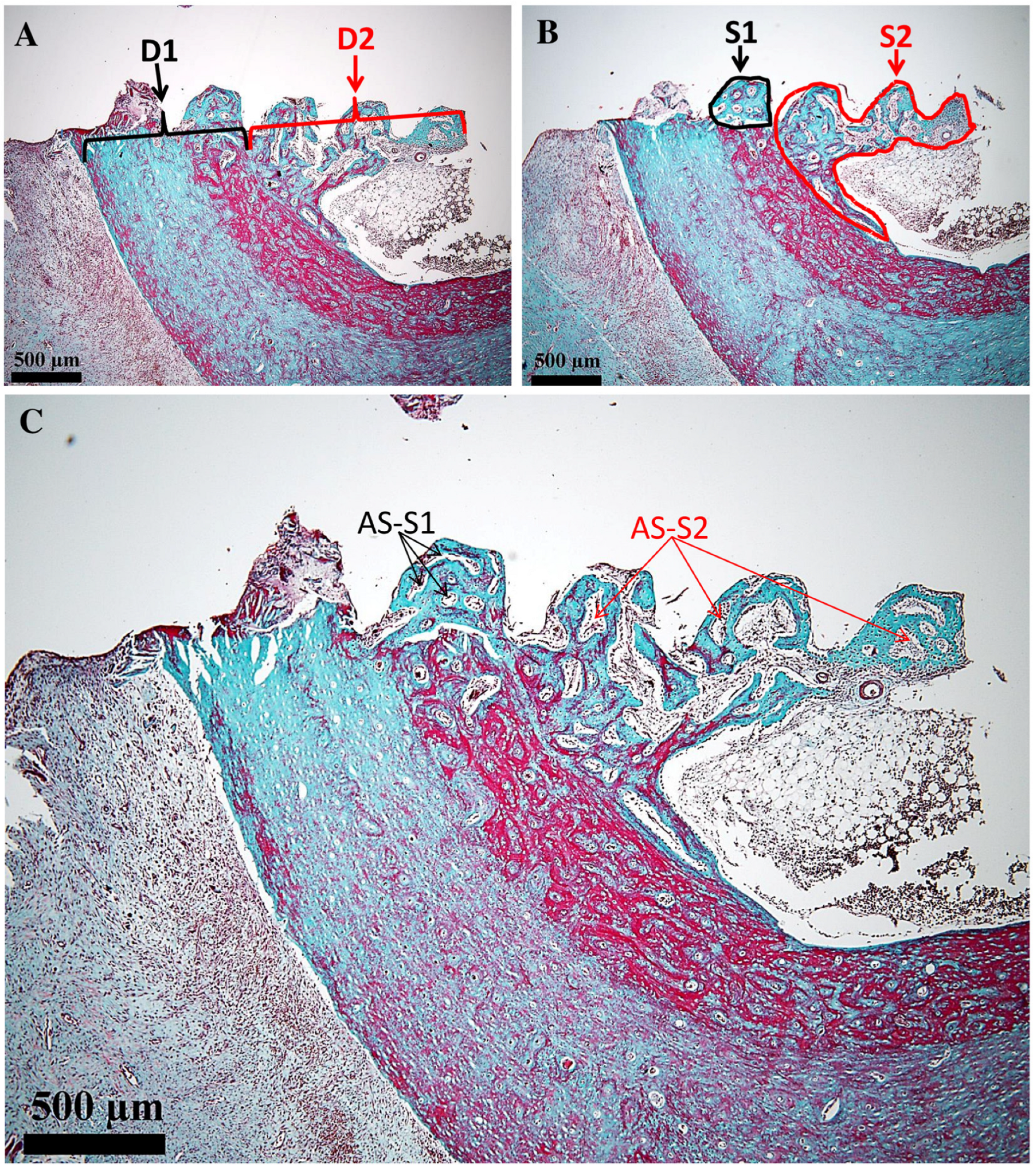 Medicina 61 01841 g004