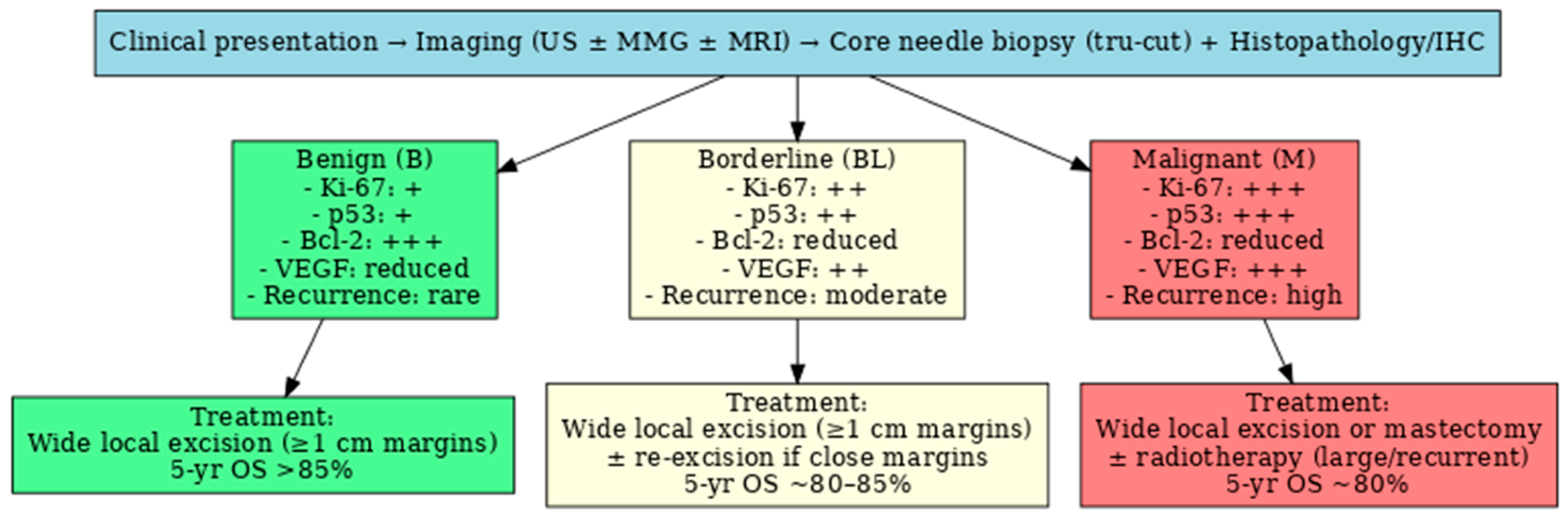 Medicina 61 01883 g002 Medicina 61 01883 g002