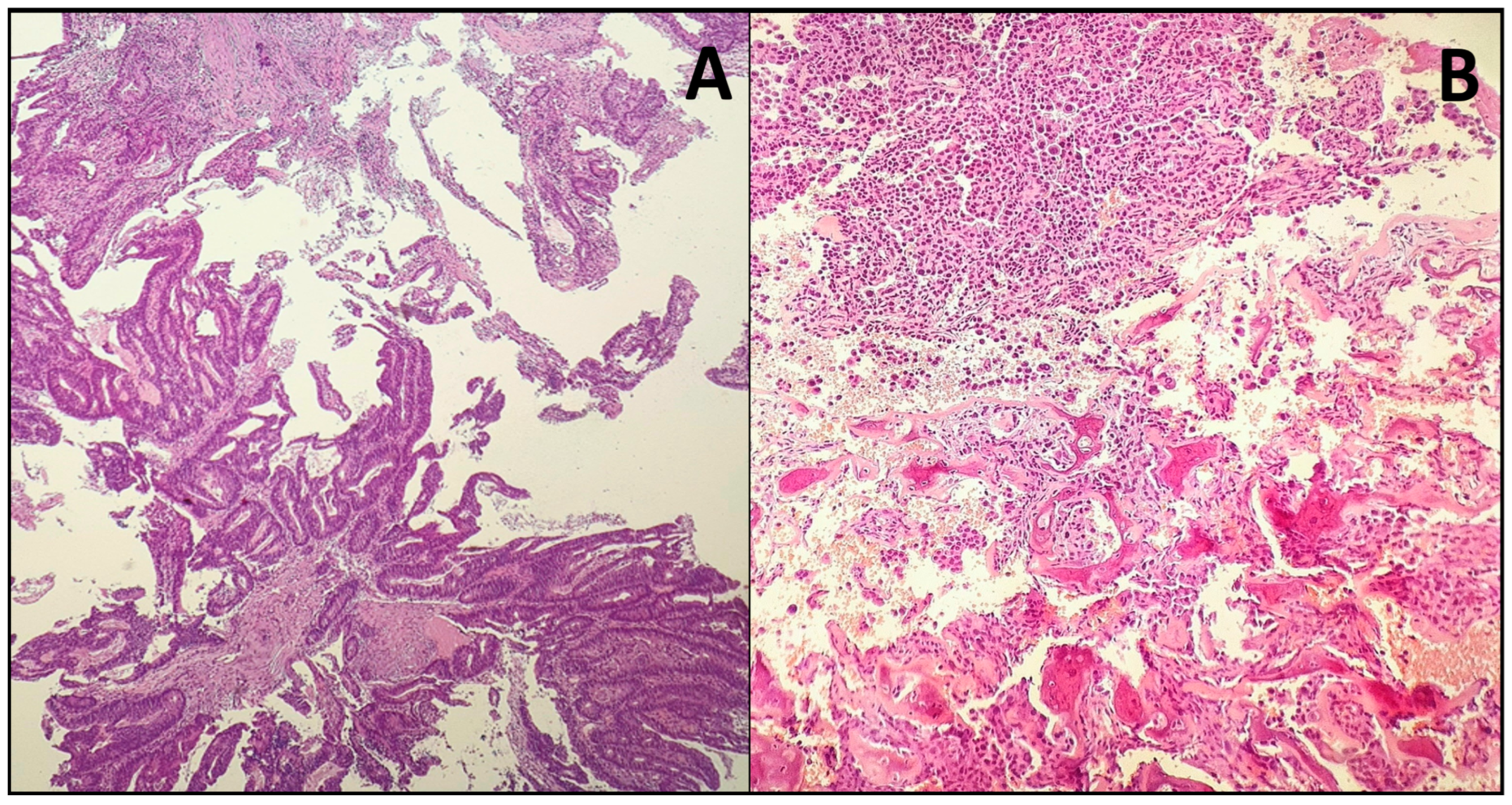 Medicina 61 01895 g001 Medicina 61 01895 g001