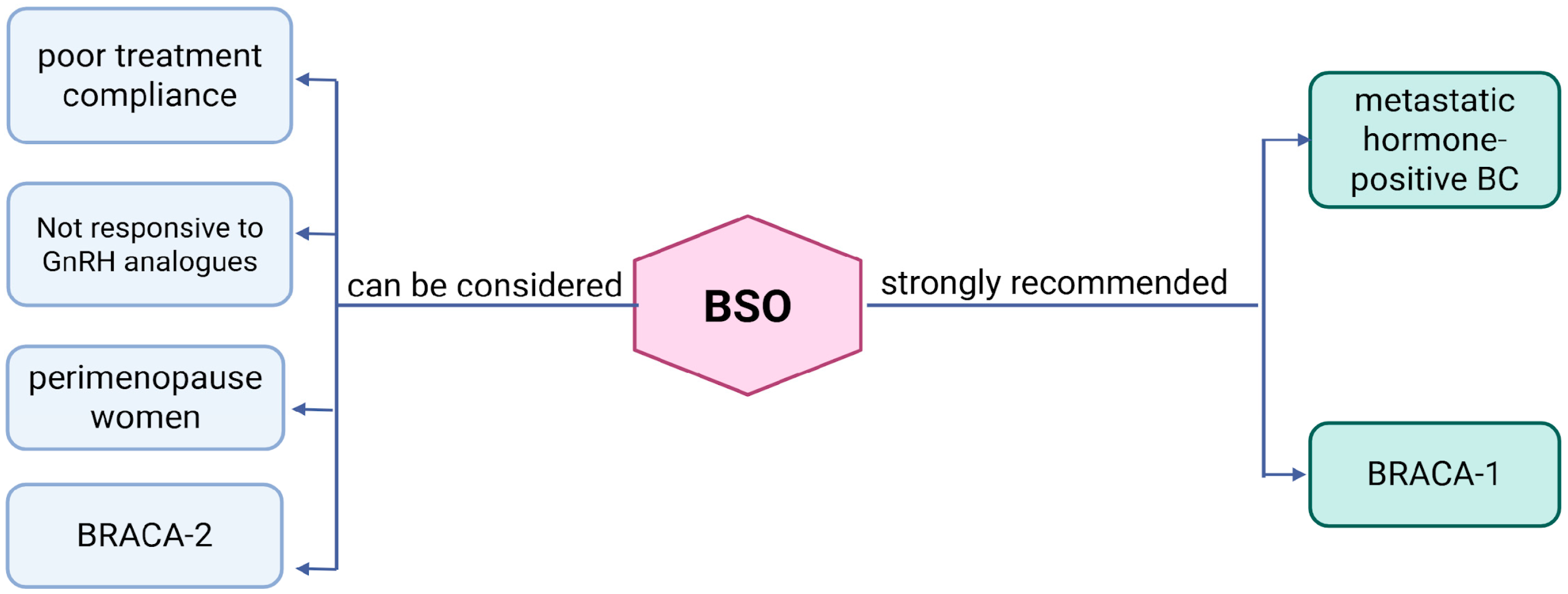 Medicina 61 01905 g001 Medicina 61 01905 g001