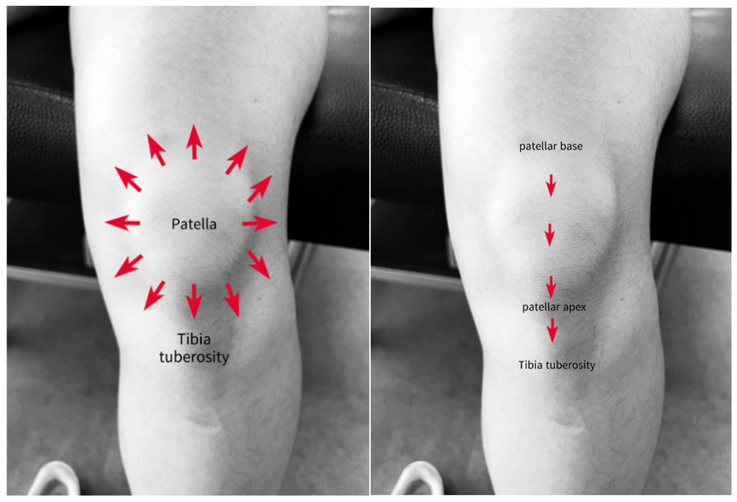 Medicina 61 01912 g009 Medicina 61 01912 g009
