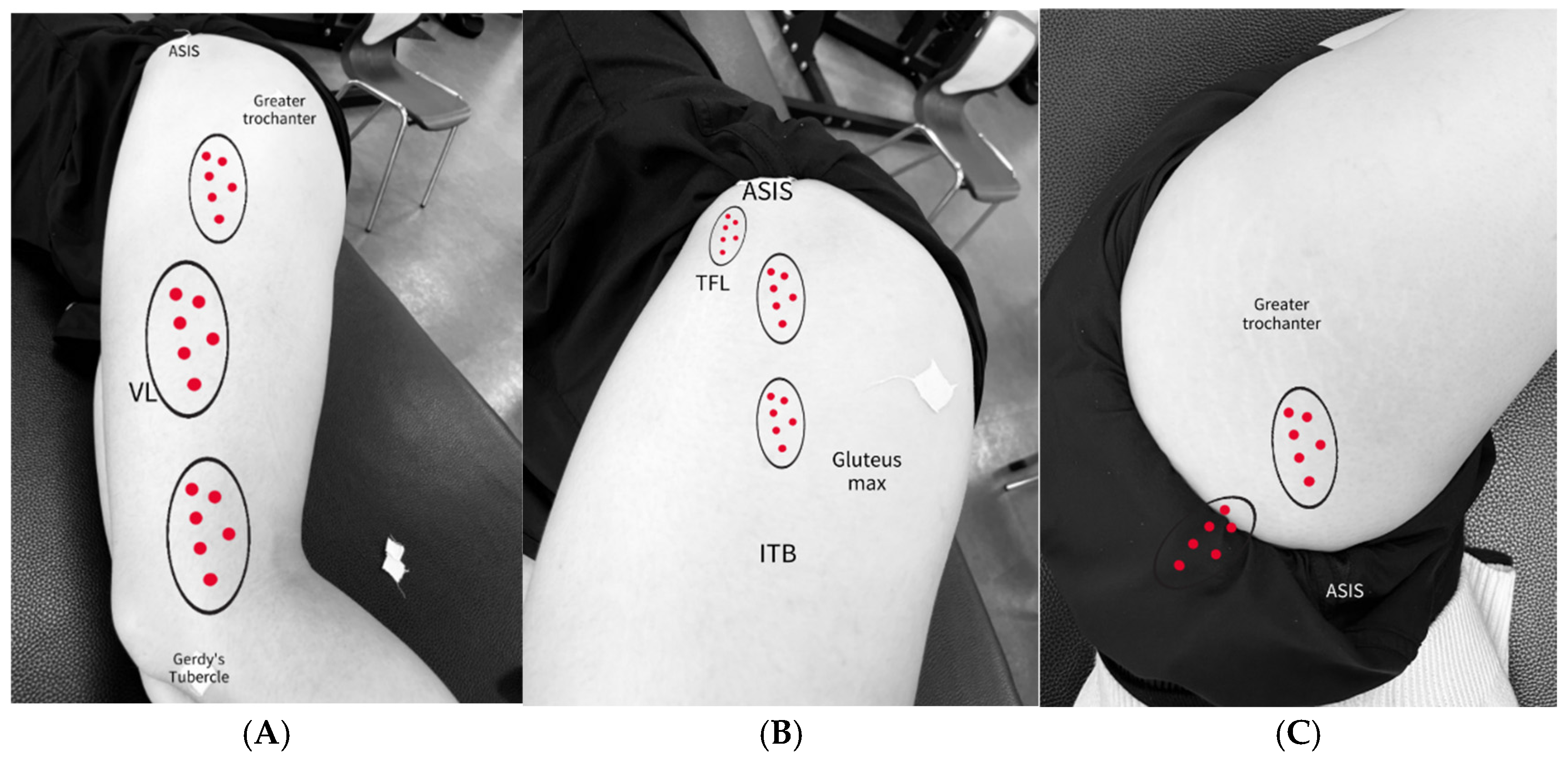 Medicina 61 01912 g012 Medicina 61 01912 g012