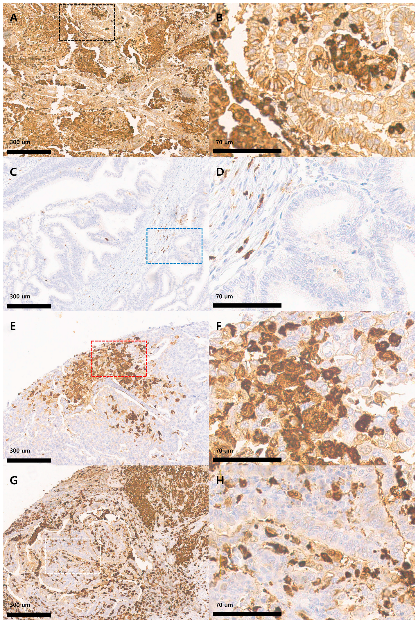 Medicina 61 01918 g001