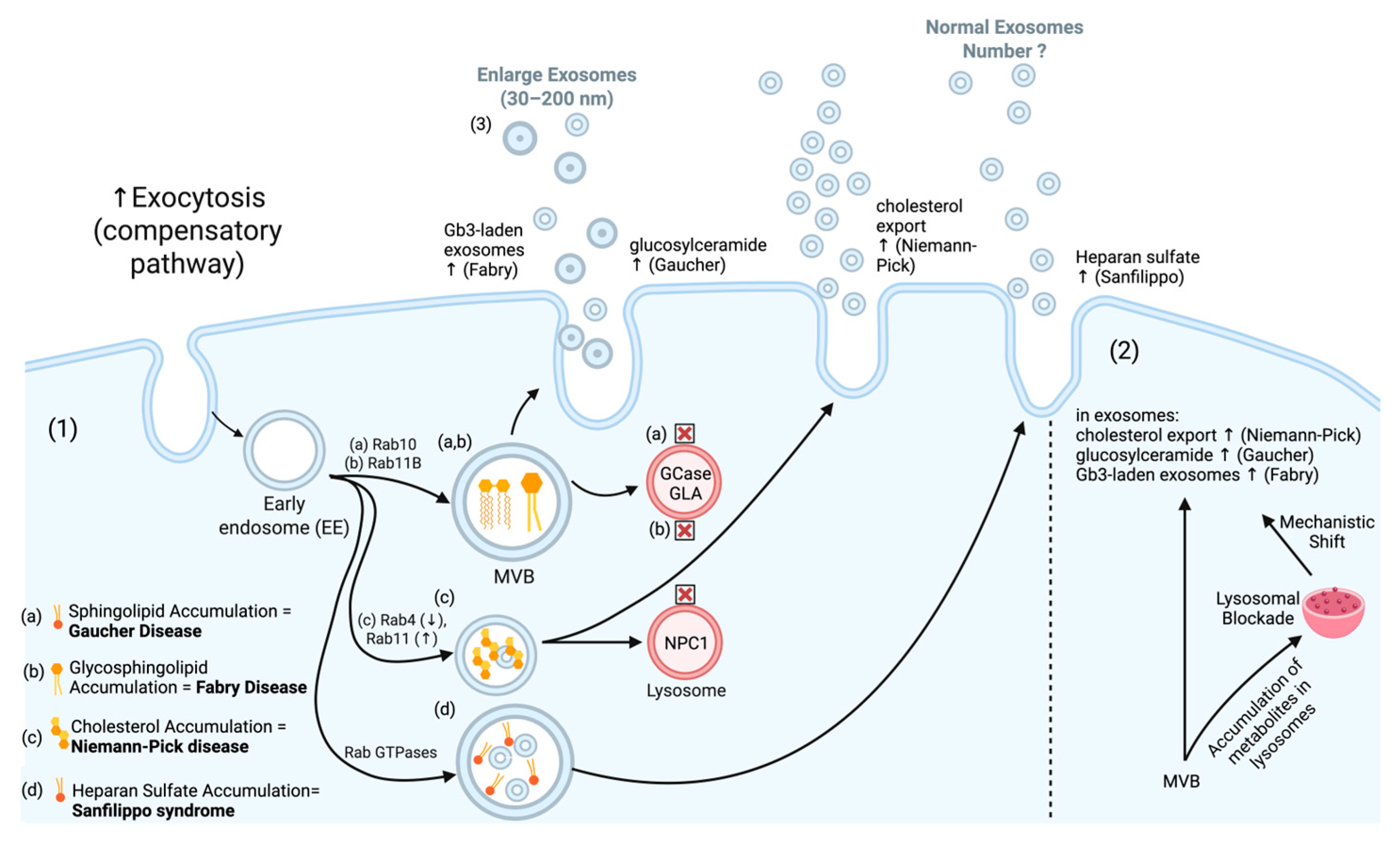 Medicina 61 01930 g003 Medicina 61 01930 g003