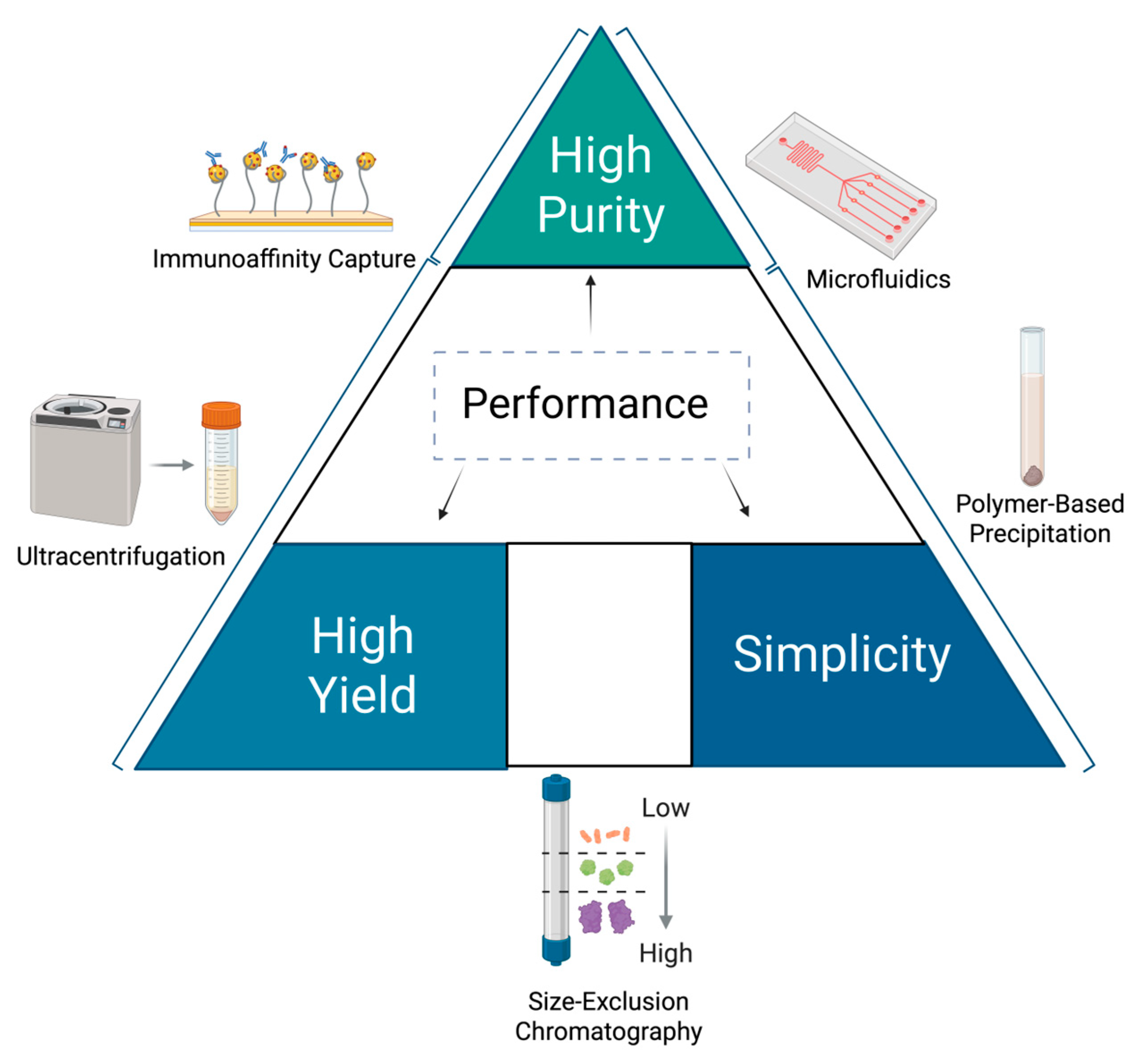 Medicina 61 01930 g004 Medicina 61 01930 g004