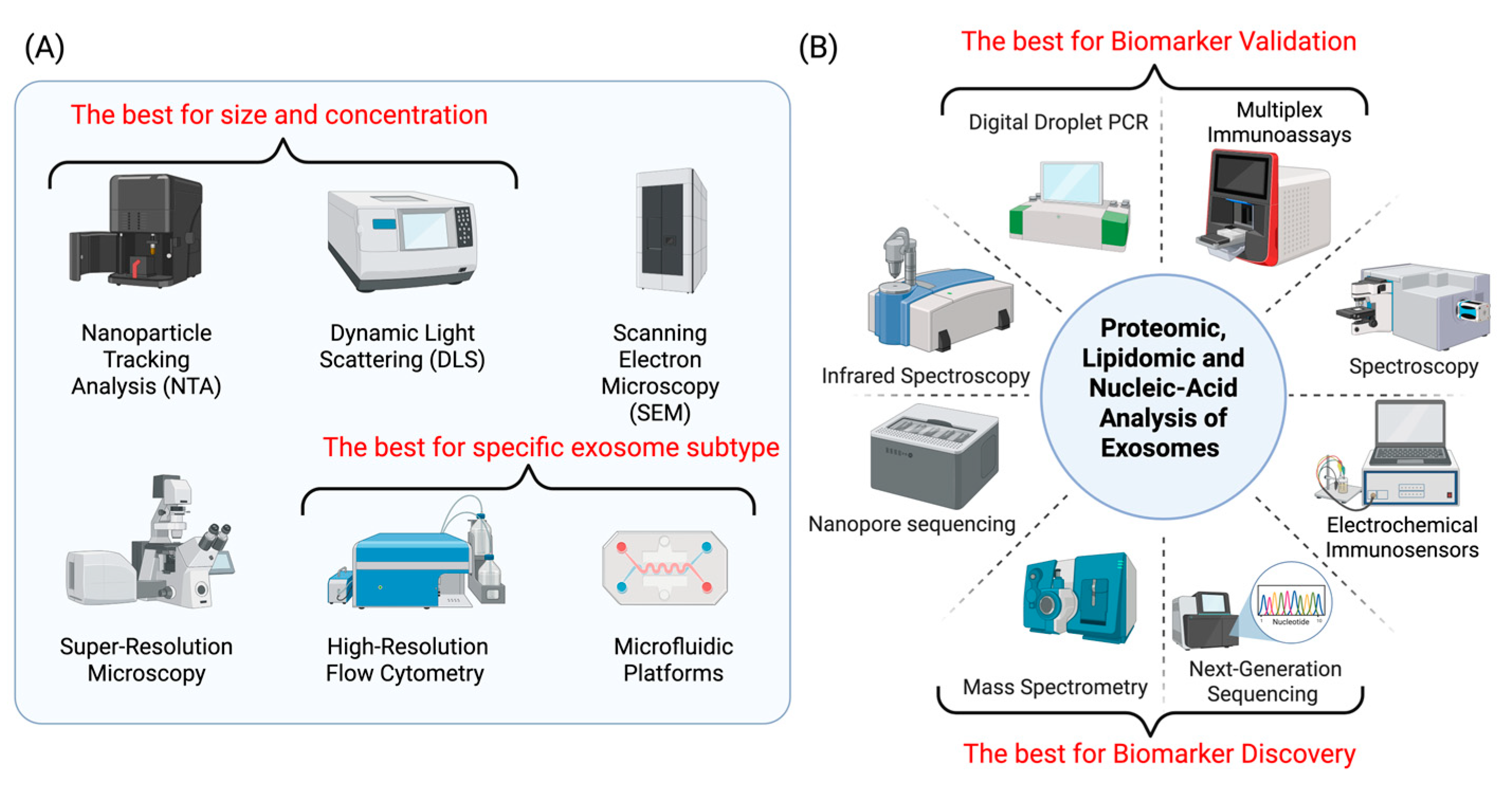 Medicina 61 01930 g005 Medicina 61 01930 g005