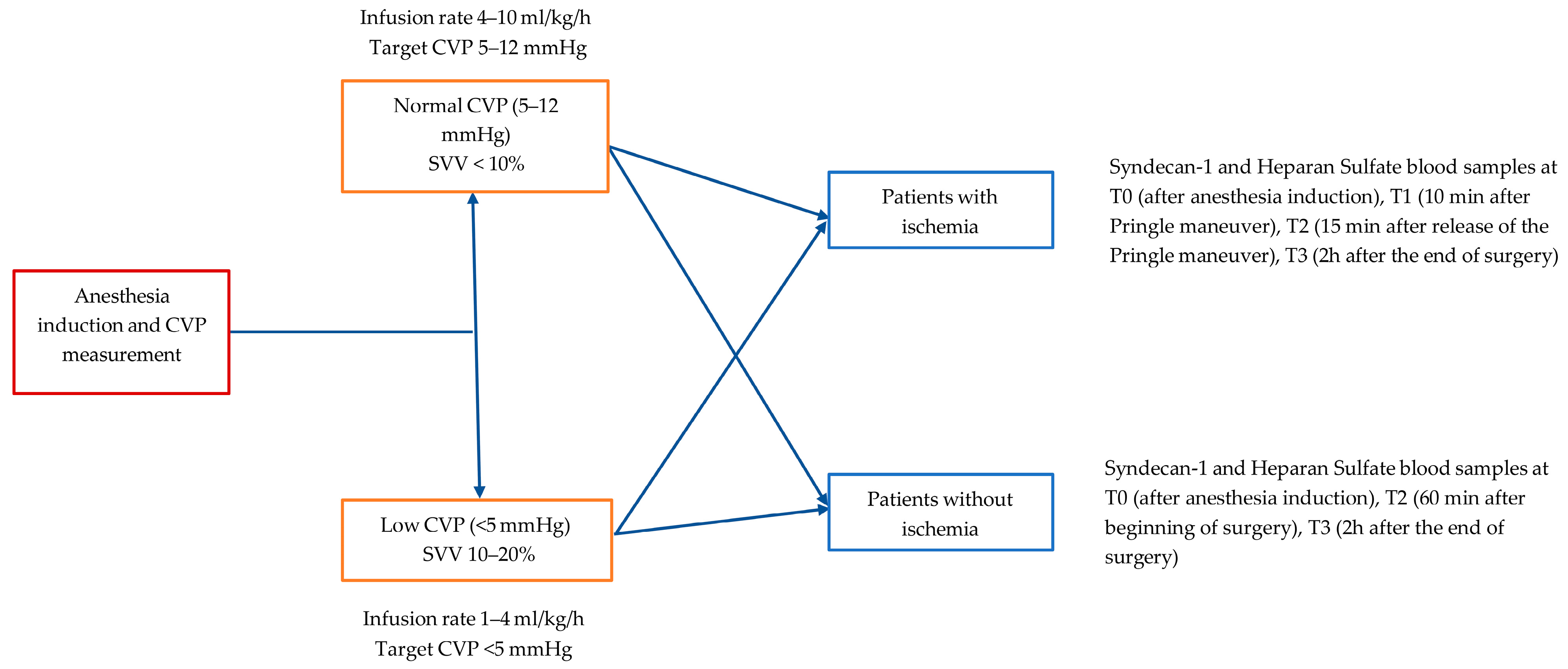 Medicina 61 01938 g001 Medicina 61 01938 g001