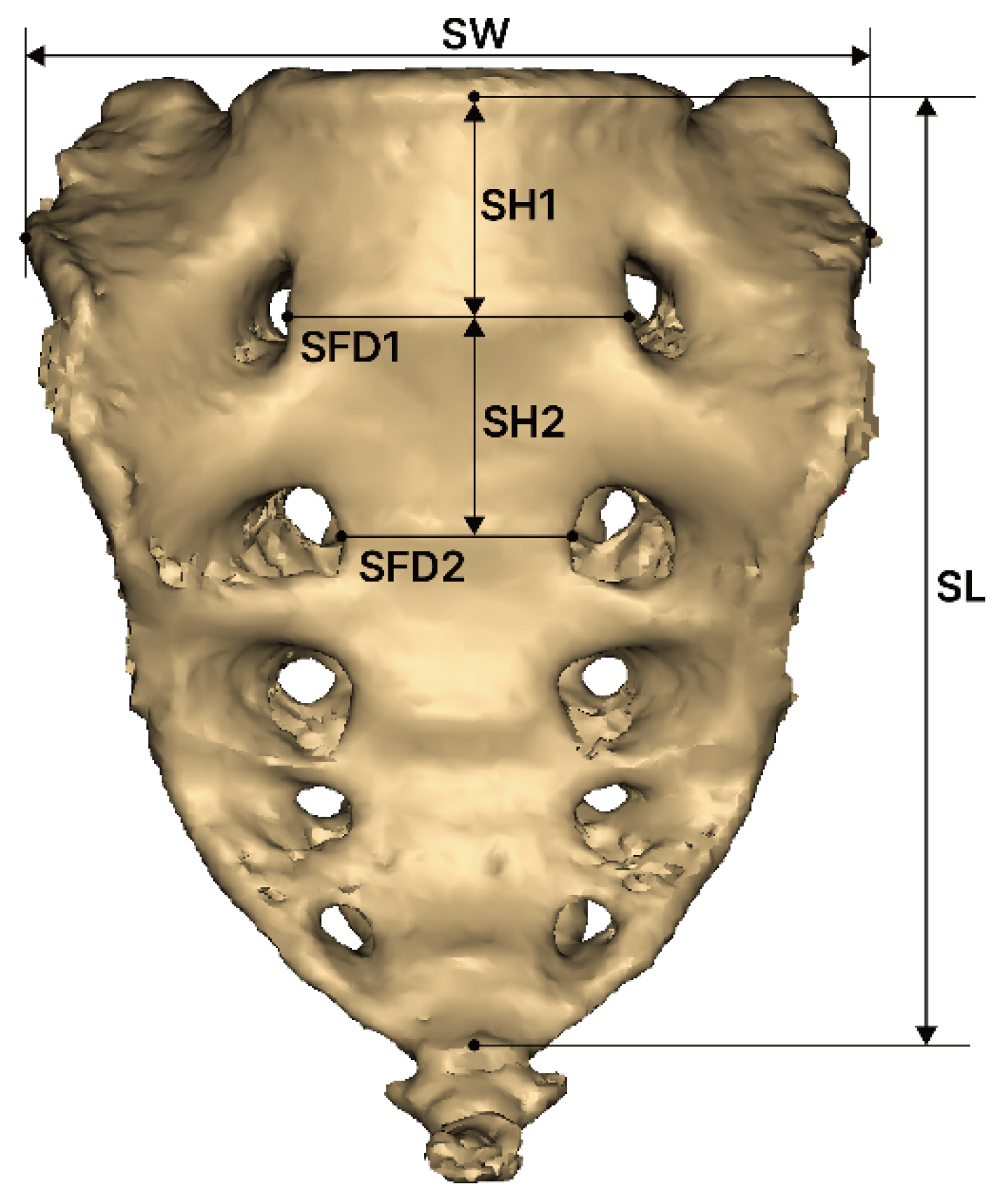Medicina 61 01942 g002