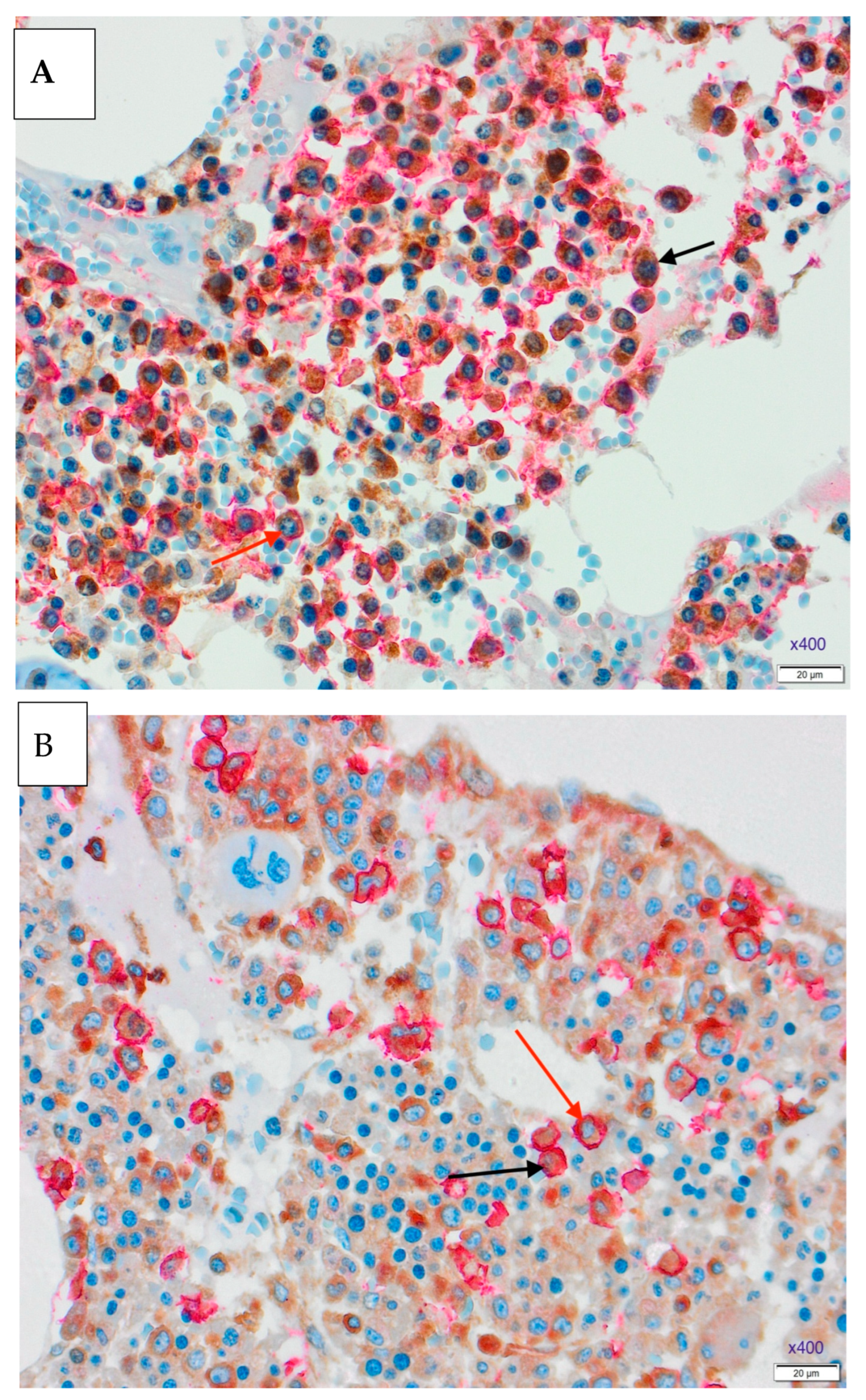Medicina 61 01948 g002 Medicina 61 01948 g002