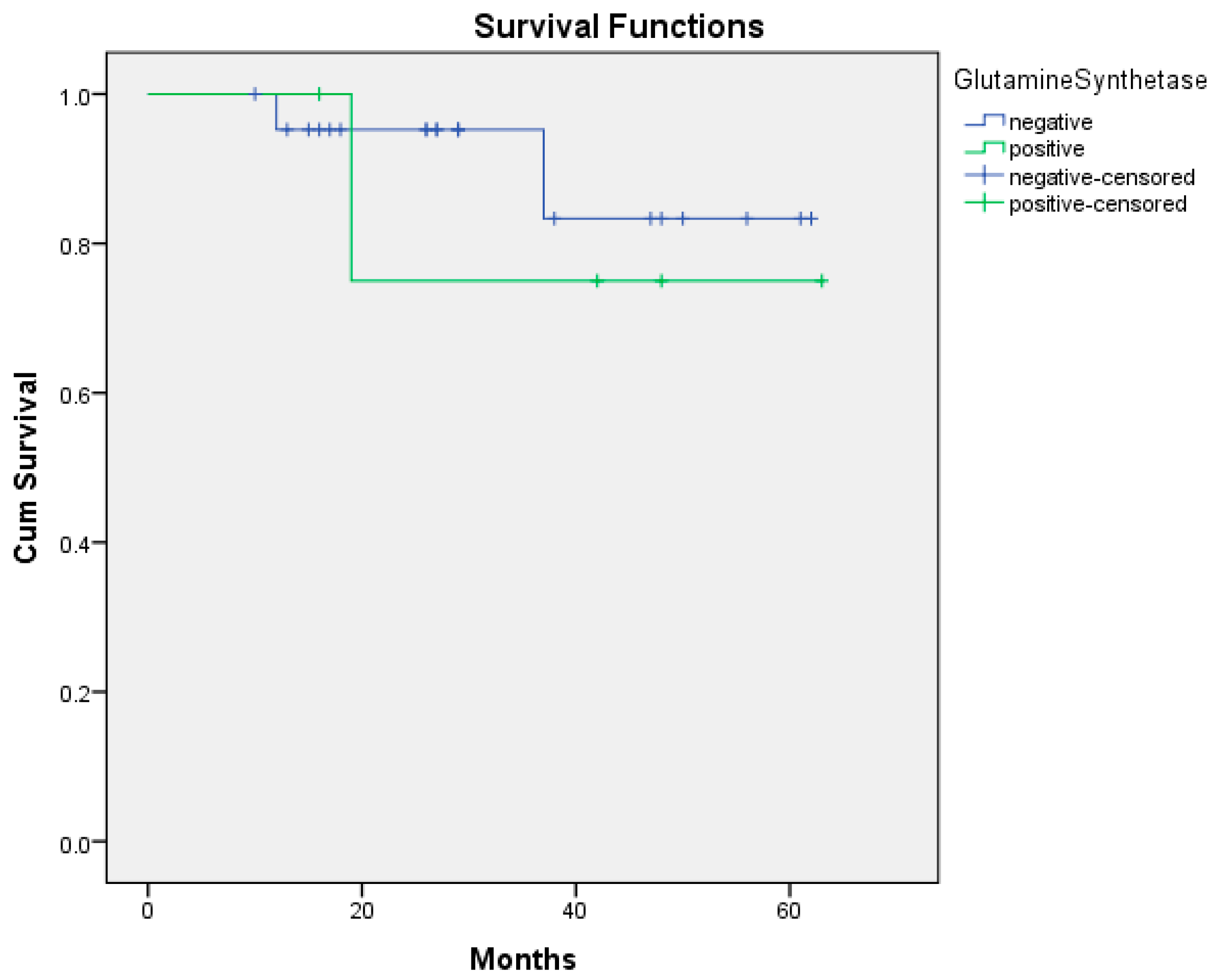 Medicina 61 01952 g002 Medicina 61 01952 g002