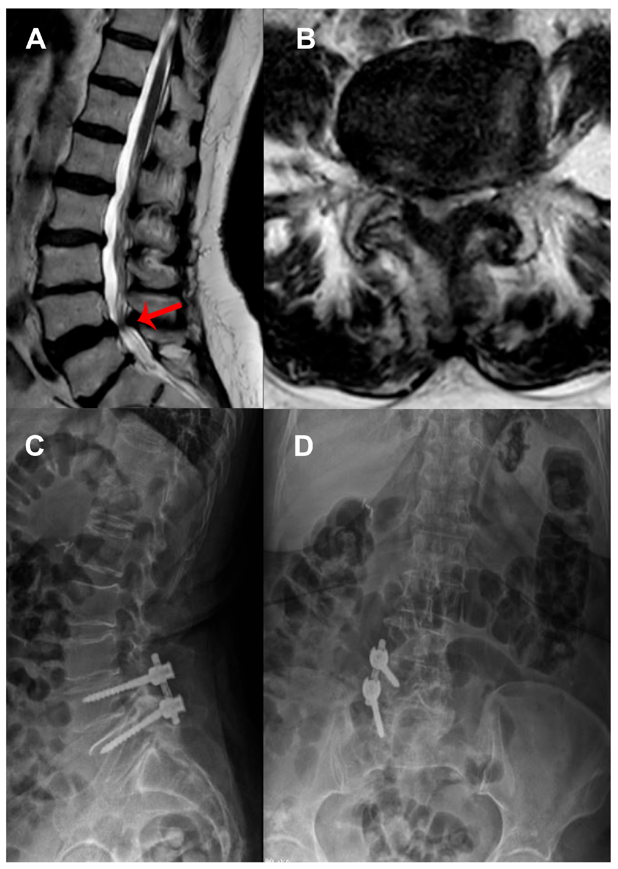 Medicina 61 01958 g002