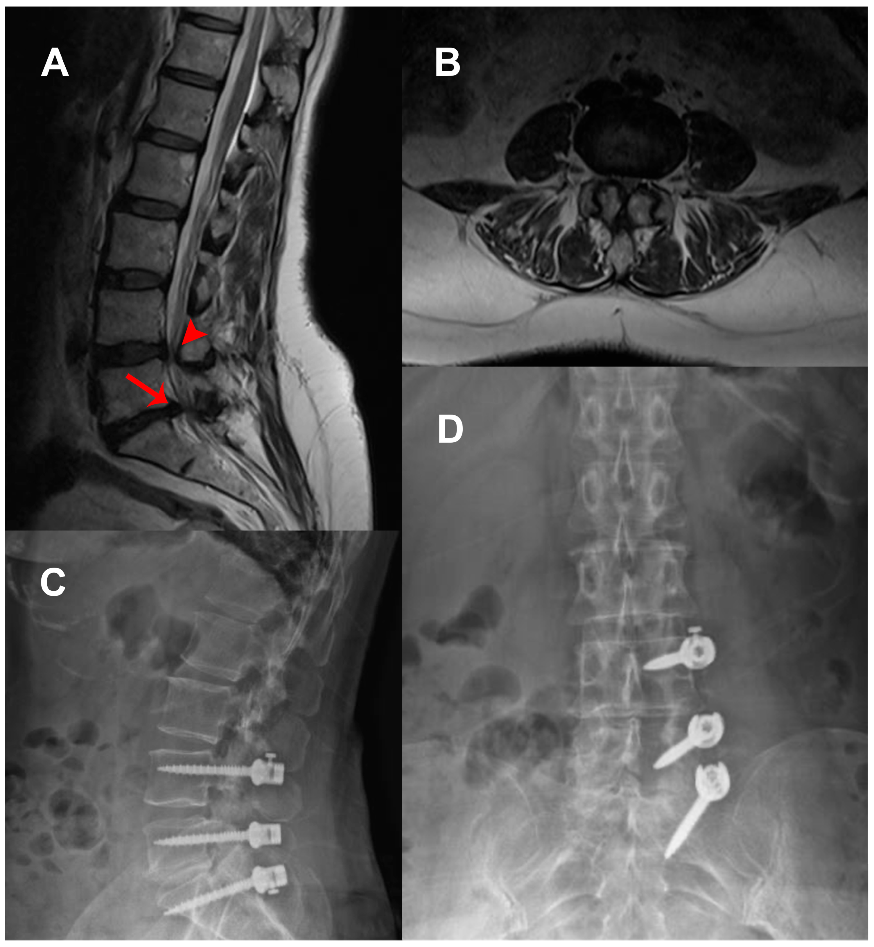 Medicina 61 01958 g003