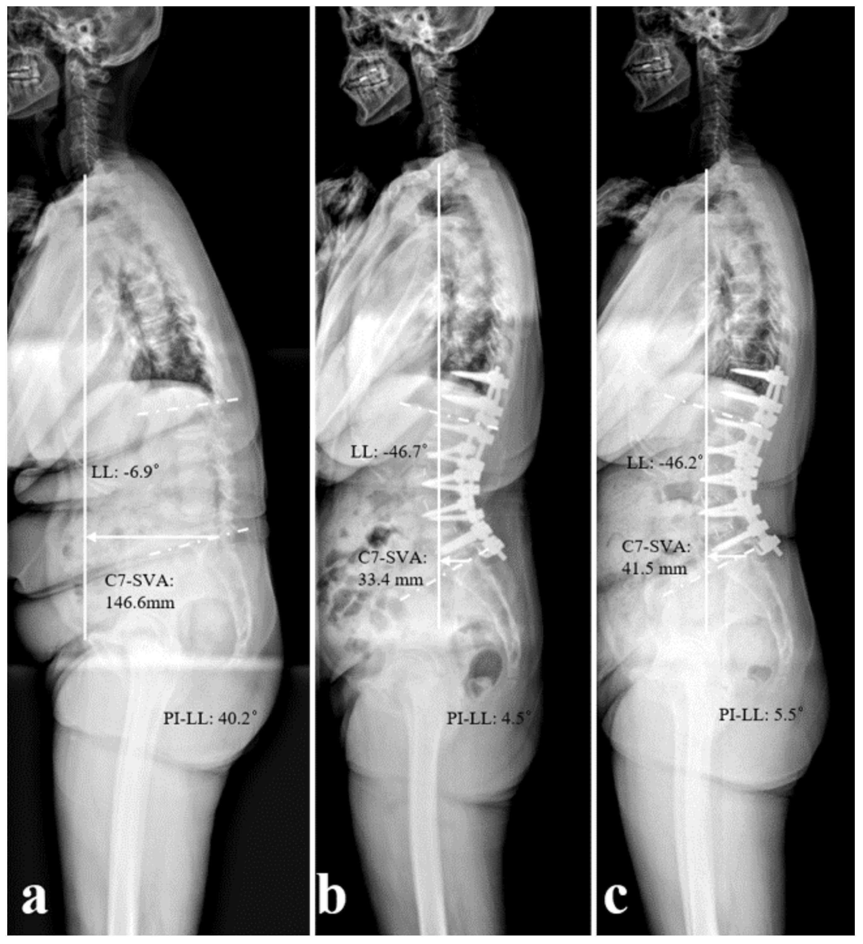 Medicina 61 01963 g002 Medicina 61 01963 g002