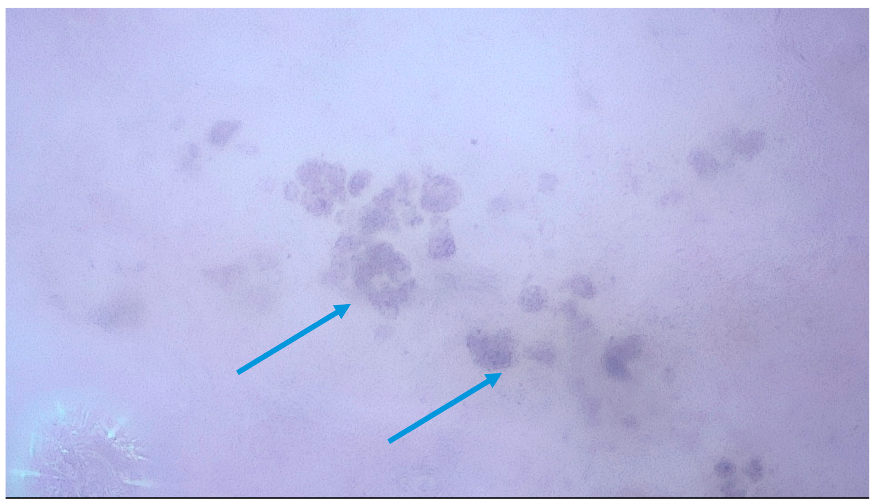 Medicina 61 01970 g002