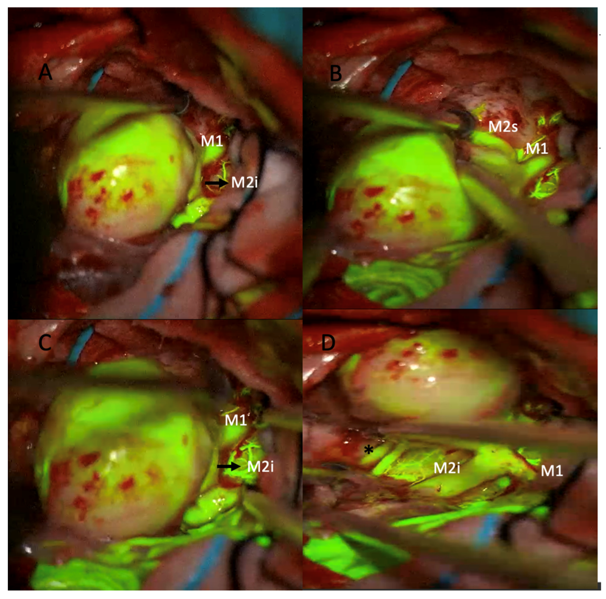 Medicina 61 01974 g002