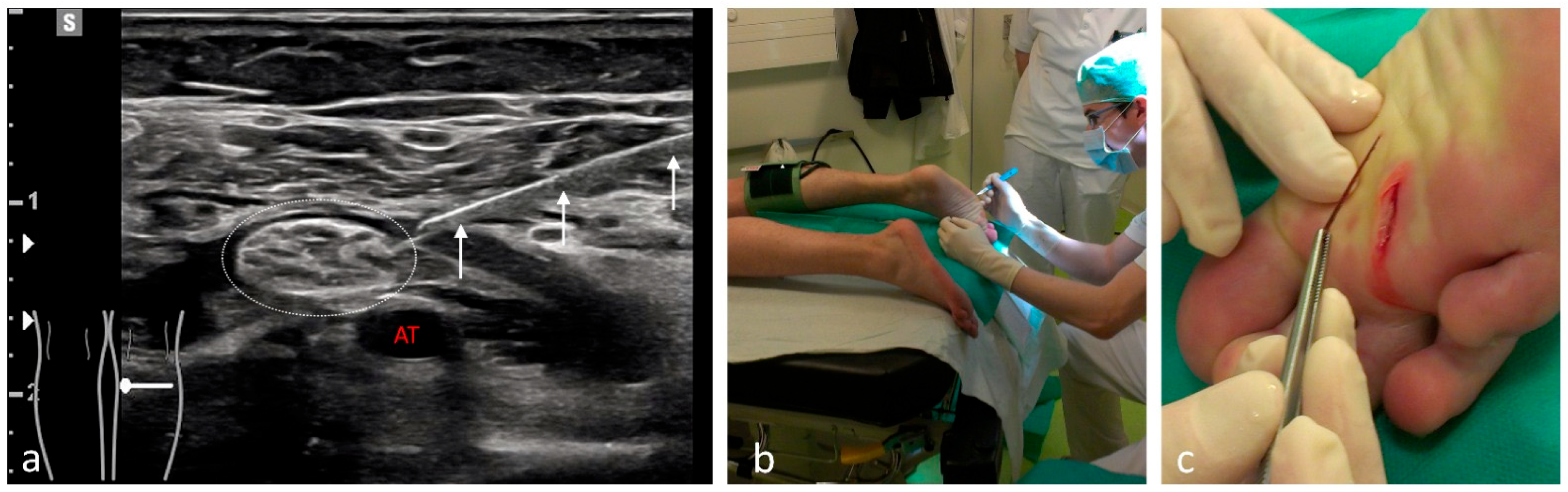 Medicina 61 02006 g001