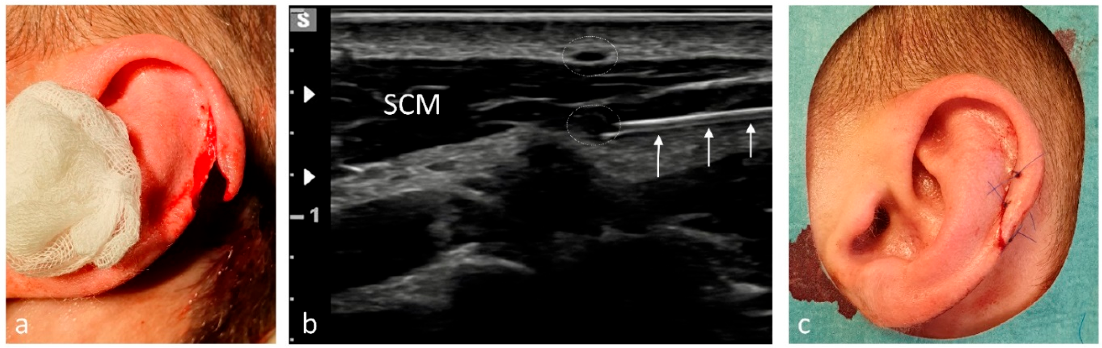 Medicina 61 02006 g007