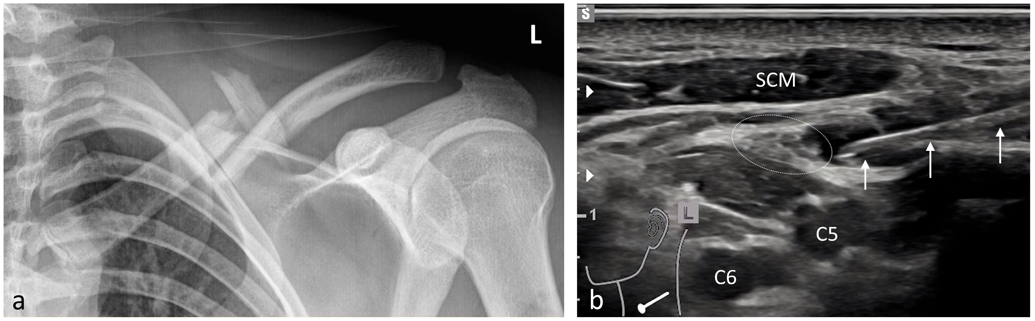 Medicina 61 02006 g008