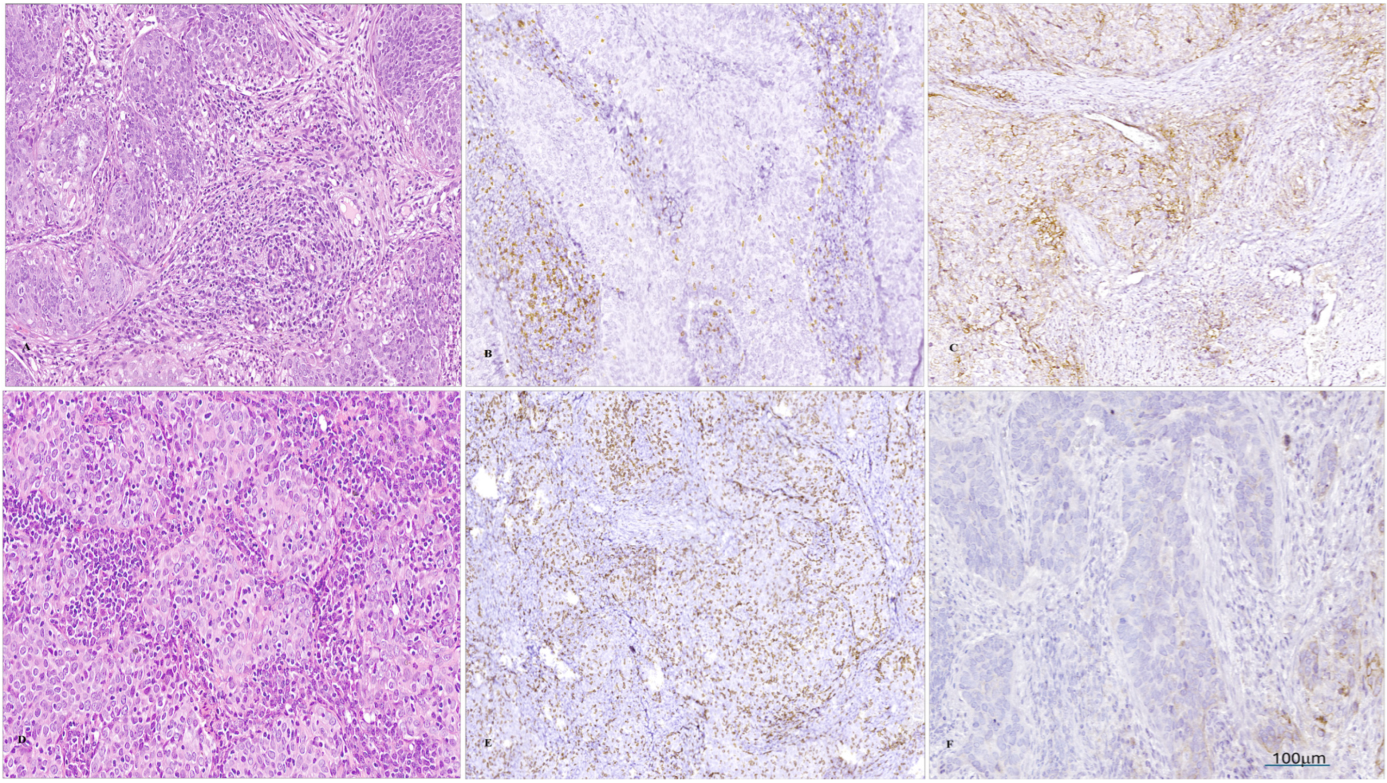 Medicina 61 02007 g001