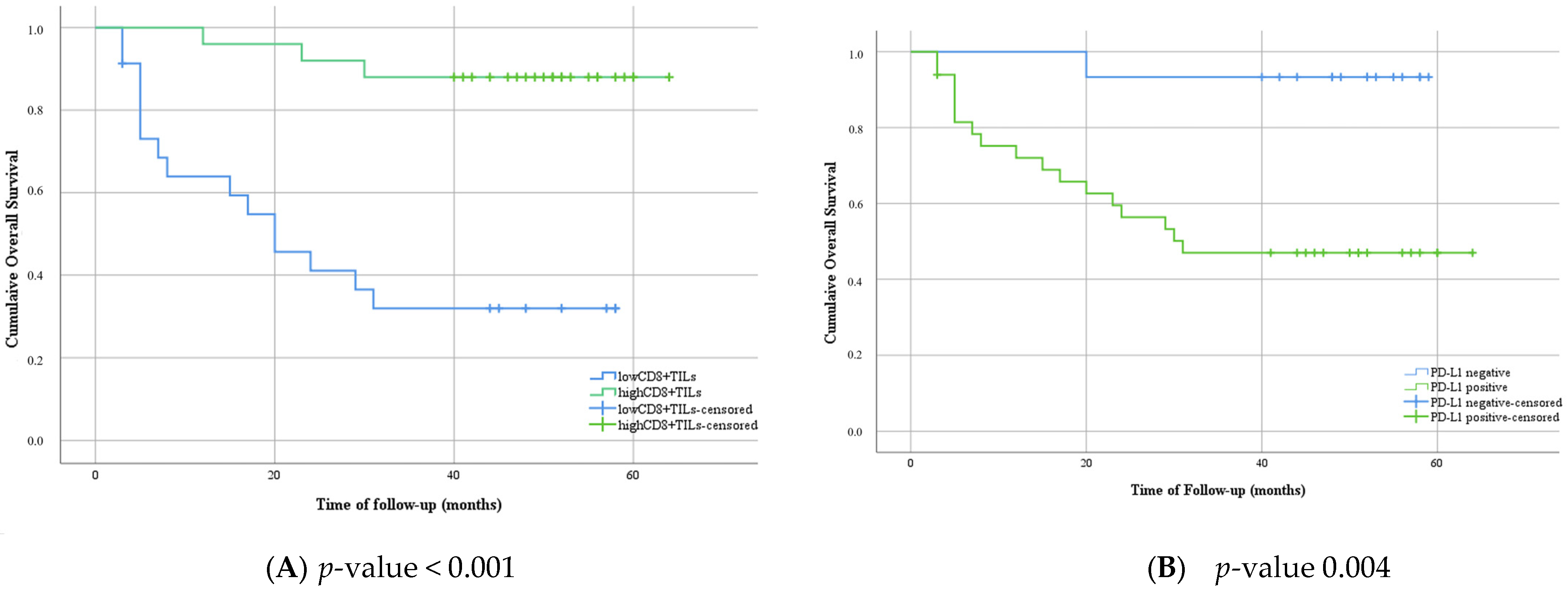 Medicina 61 02007 g003a