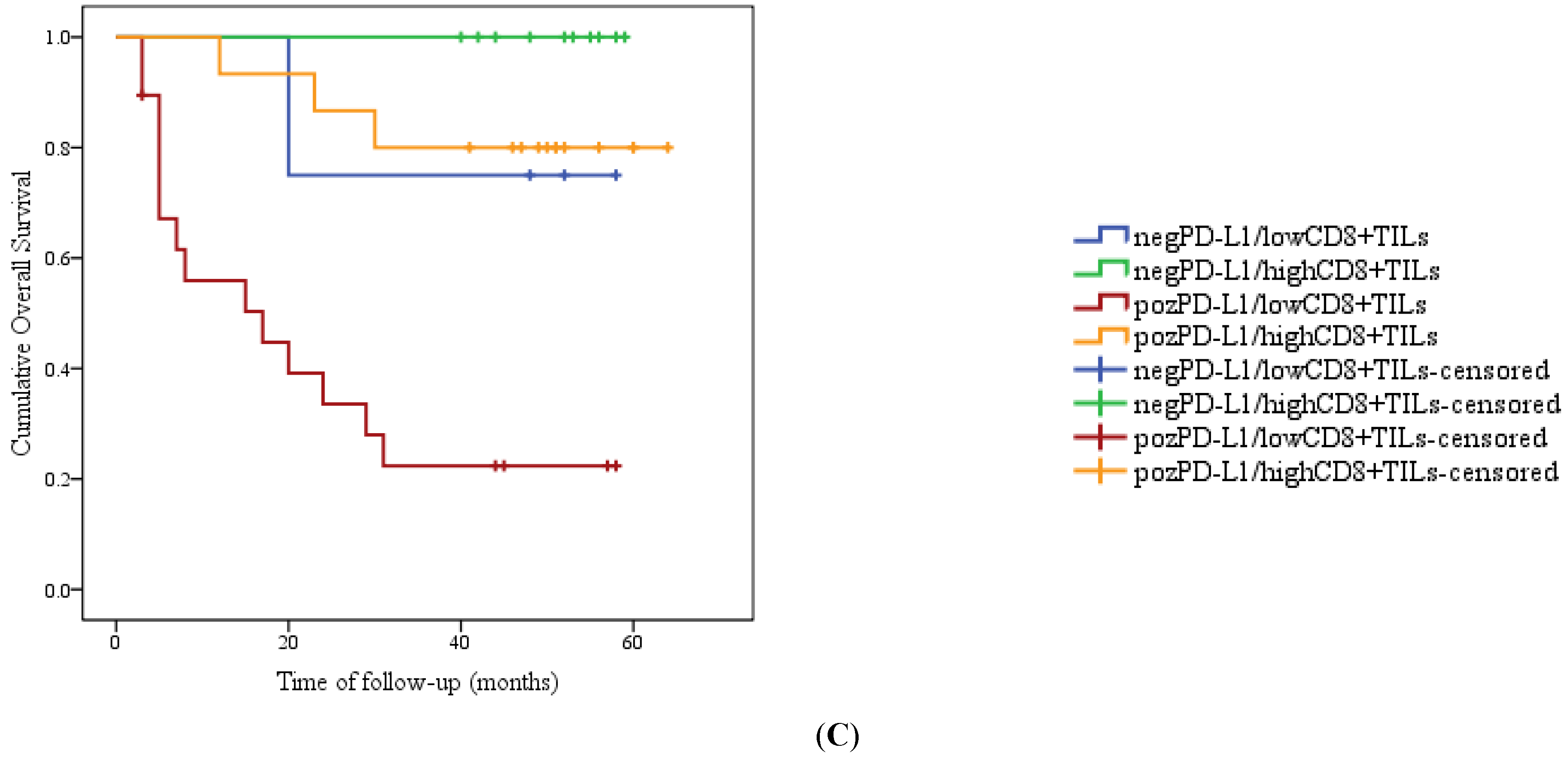 Medicina 61 02007 g003b