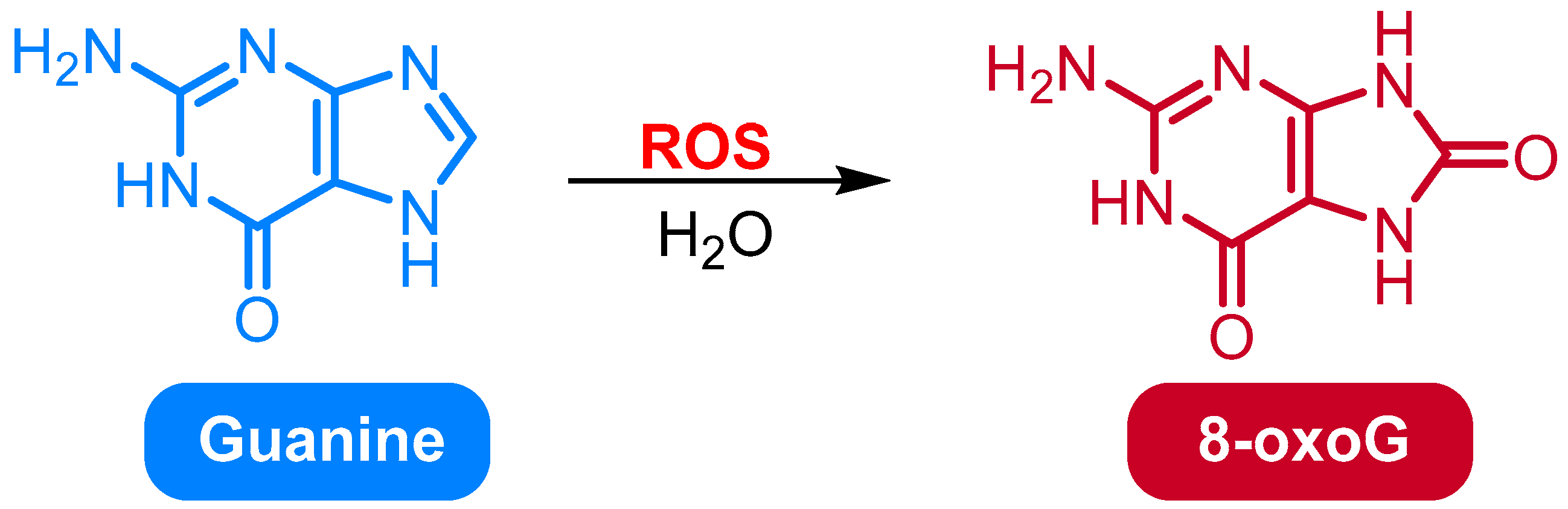 Medicina 61 02013 g001