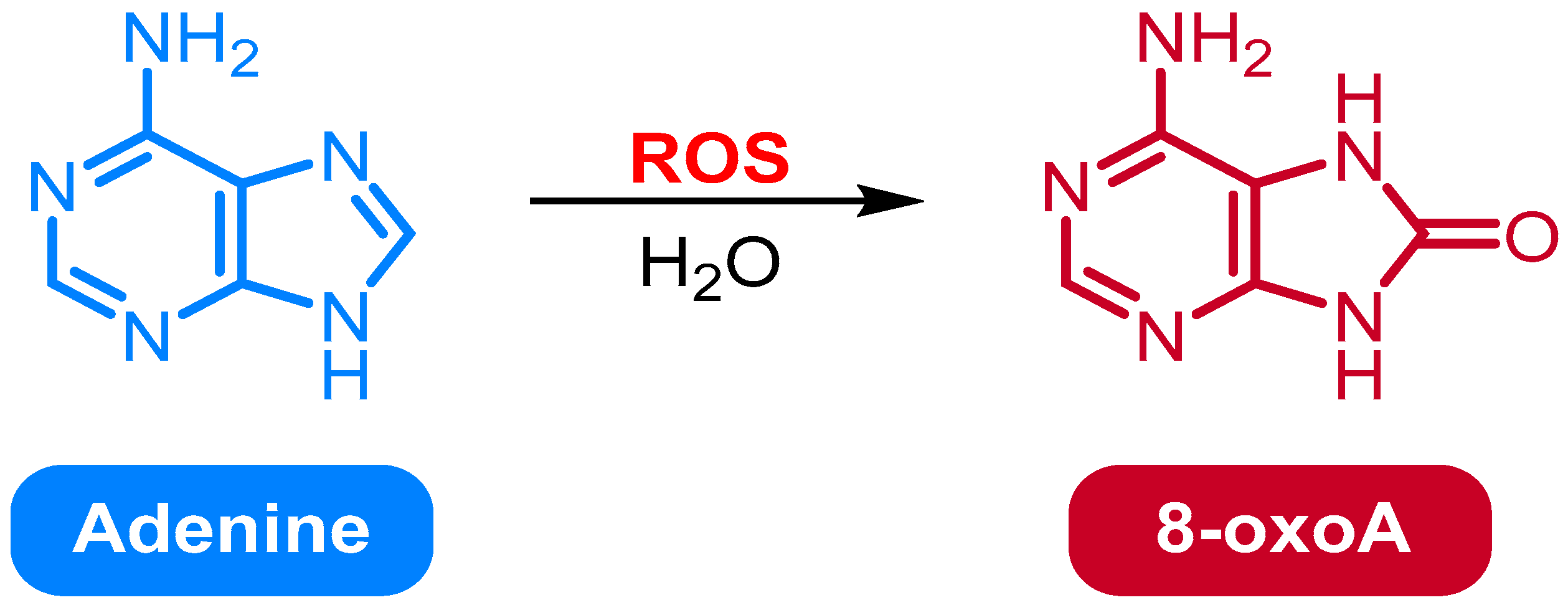 Medicina 61 02013 g002