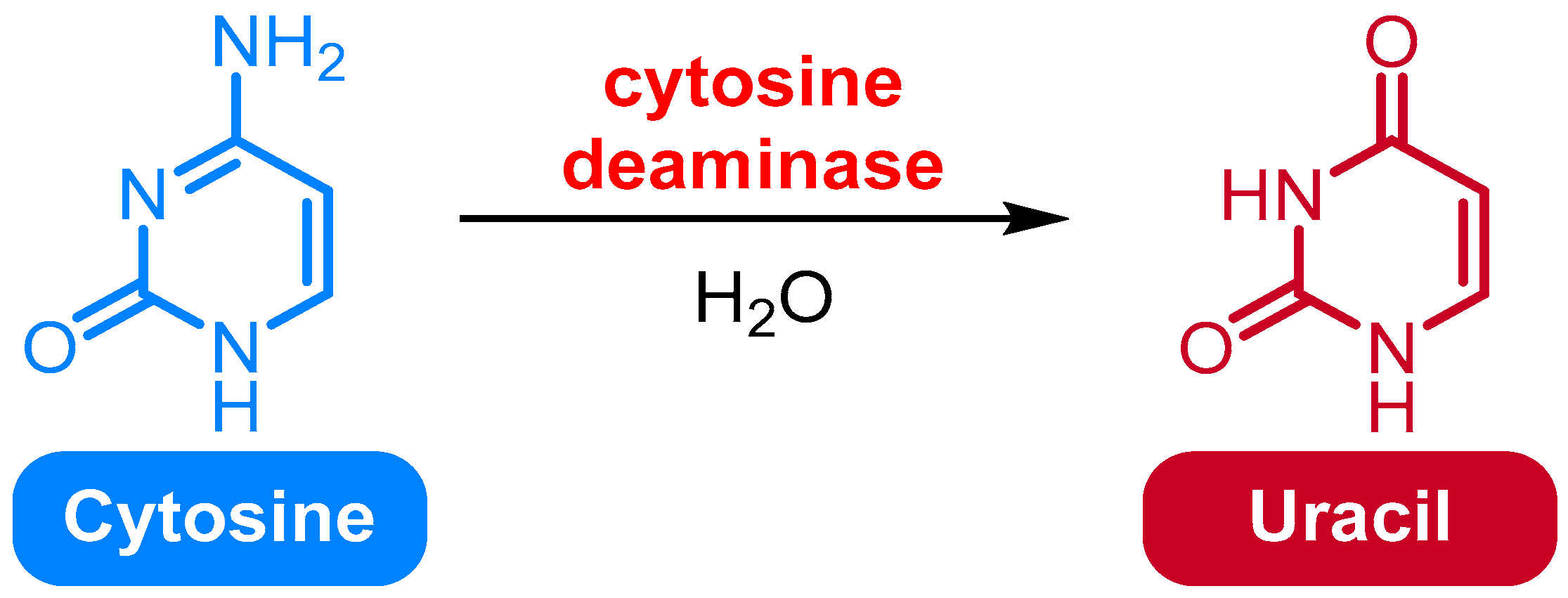 Medicina 61 02013 g003