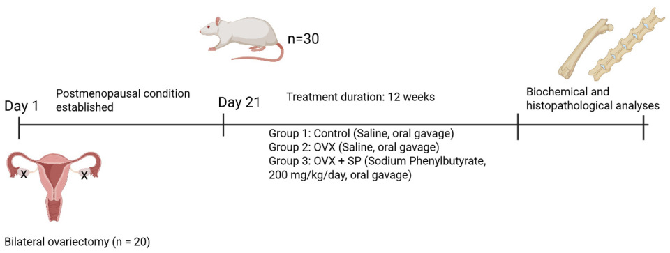 Medicina 61 02016 g001